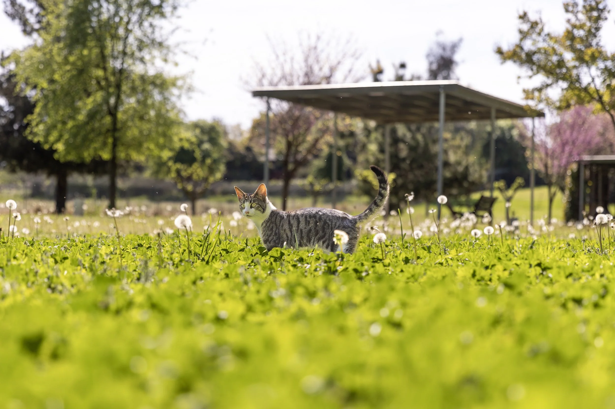 Screenshot 2024-04-16 at 11.35.34.jpg