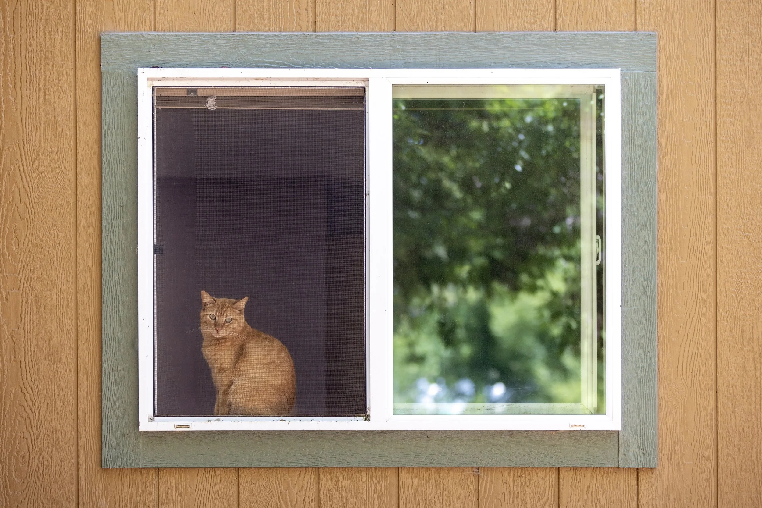 Screenshot 2024-04-16 at 11.28.16.jpg