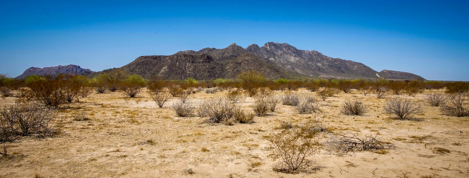 desert-floor-and-distant-mountains-san-jose-hunting-area-banner.jpg