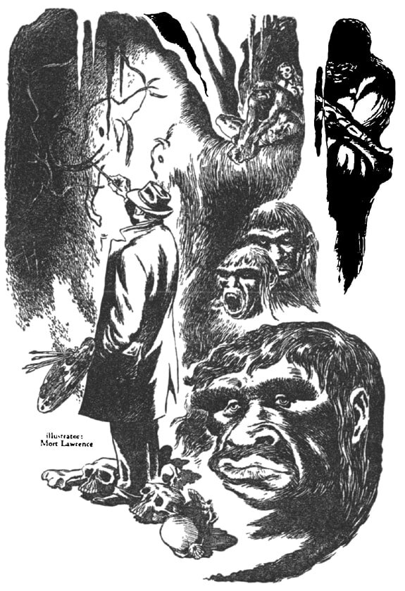 THE RATHER IMPROBABLE HISTORY OF HILLARY KIFFER illustration-min.jpg