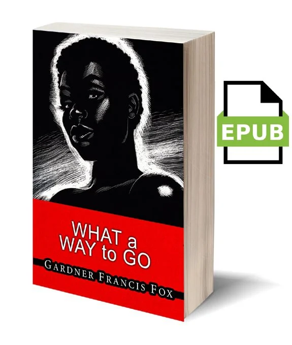 100  - What a Way to Go - EPUB.jpg