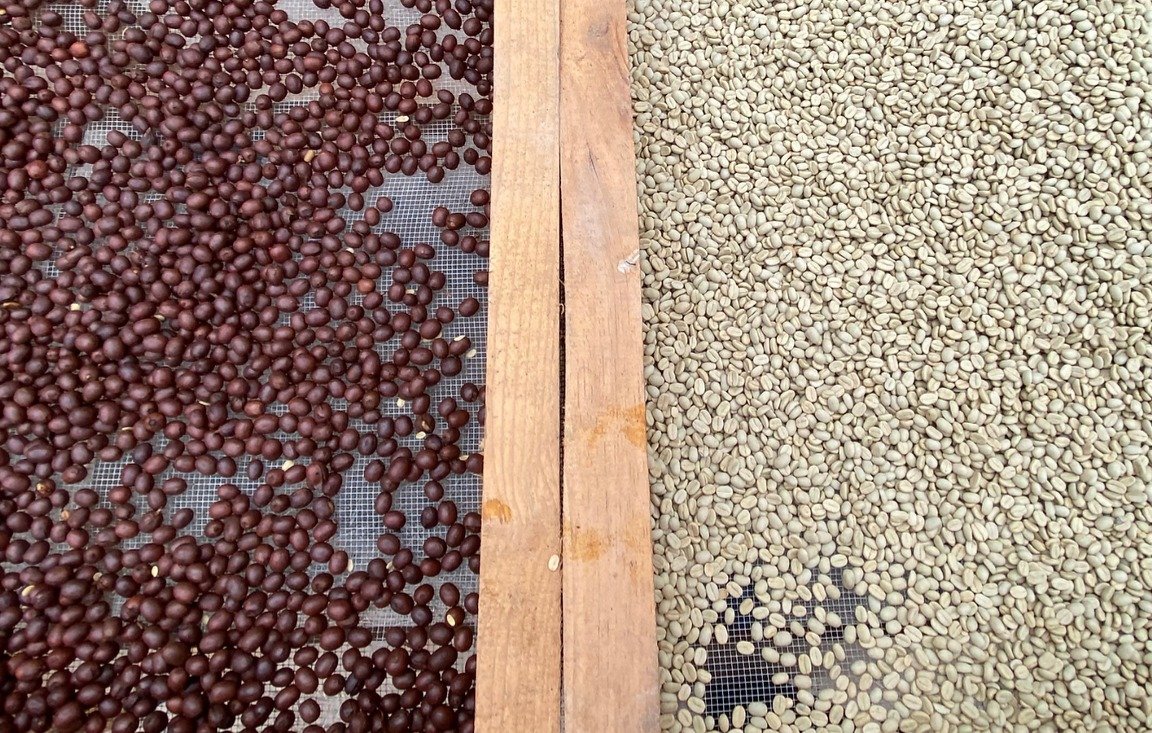 Nicaragua Jinotega Maximino's Maceration