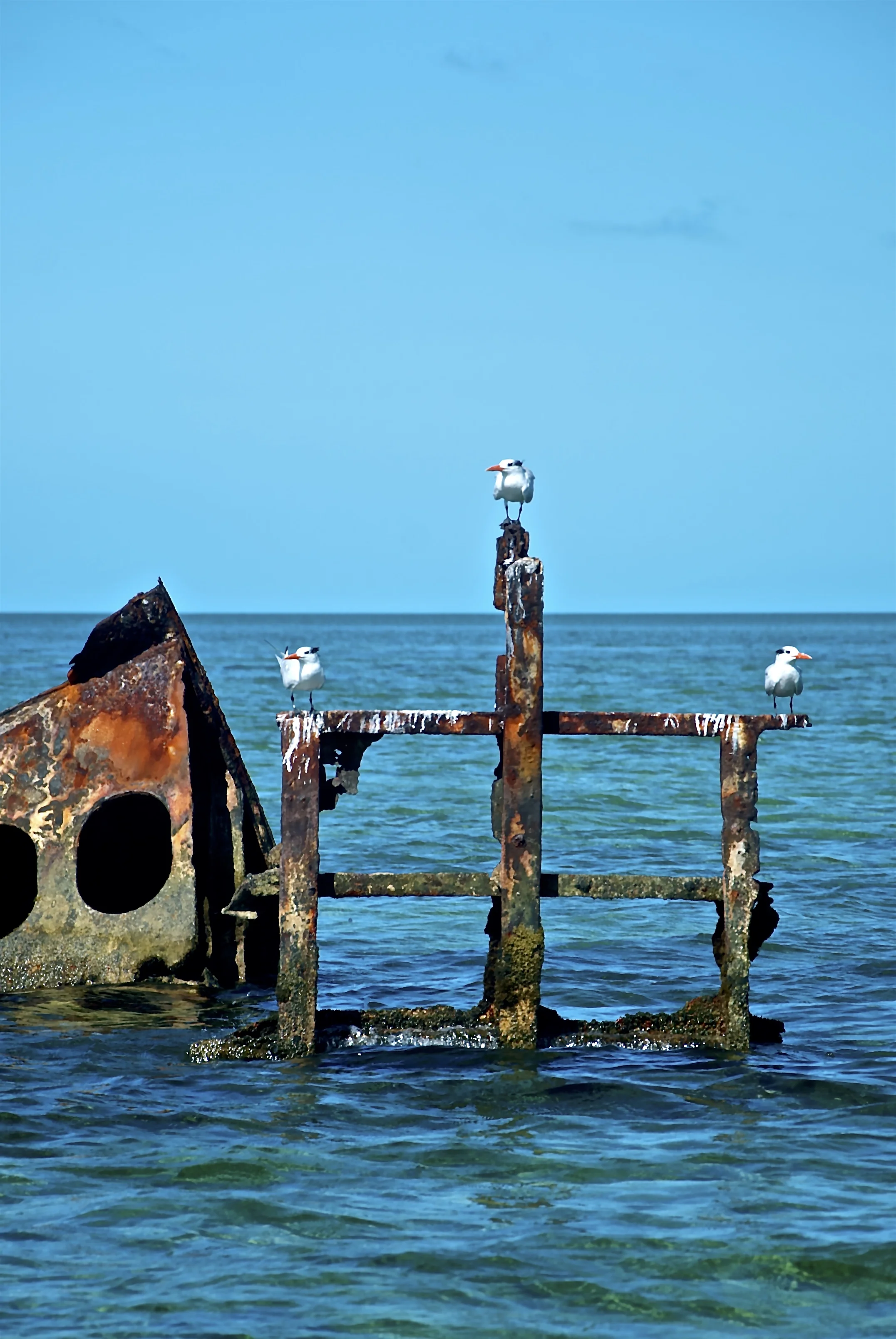 DSC_8222.jpg