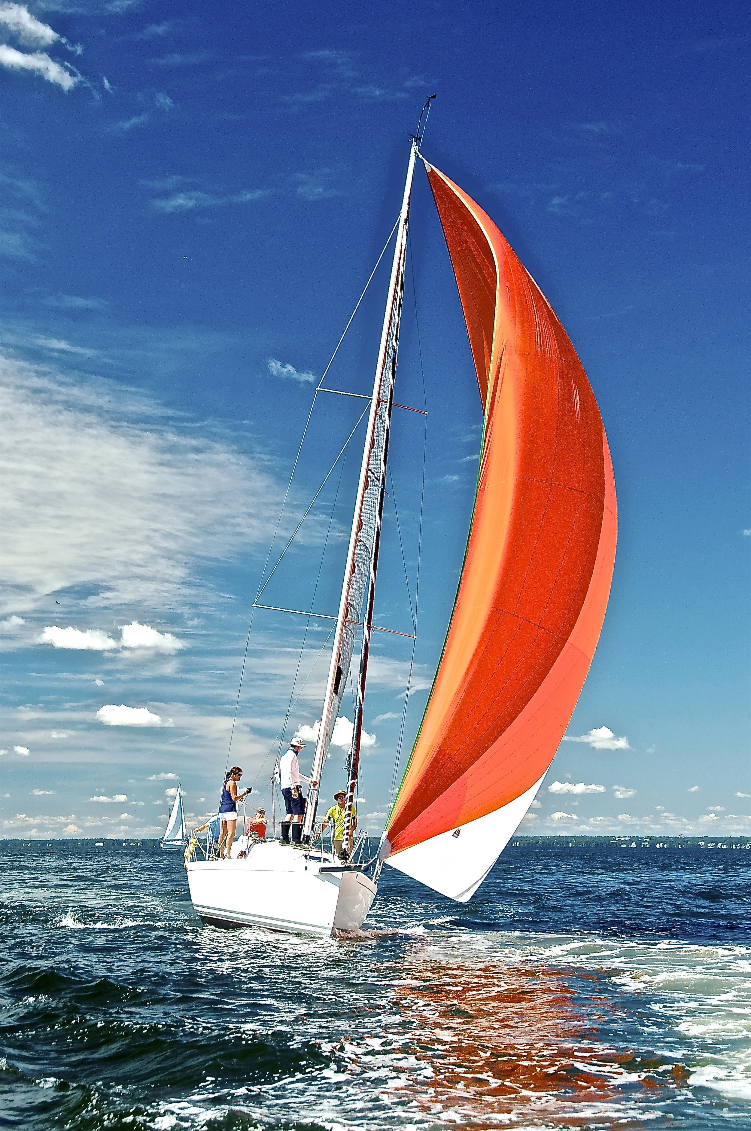 Participant 2.jpg