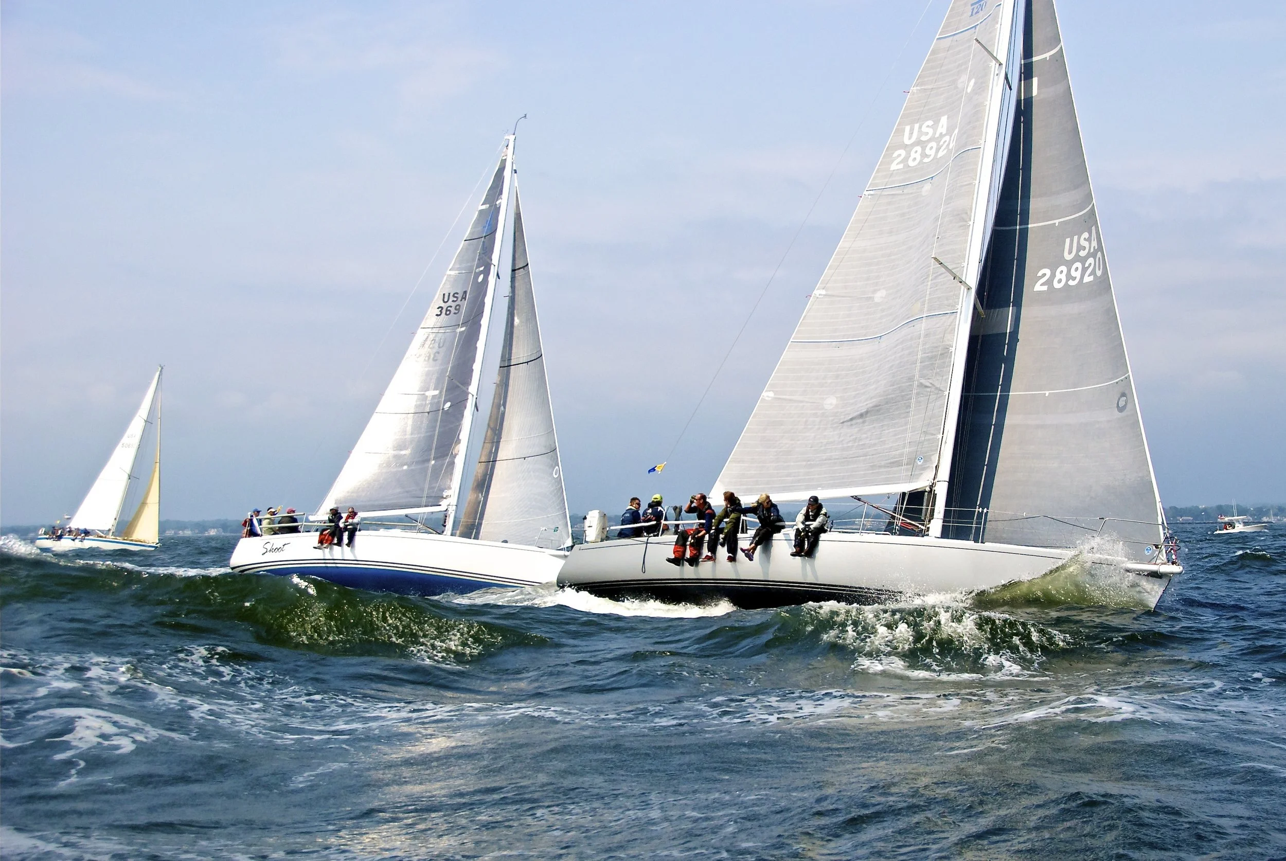 DSC_5687.jpg.jpg