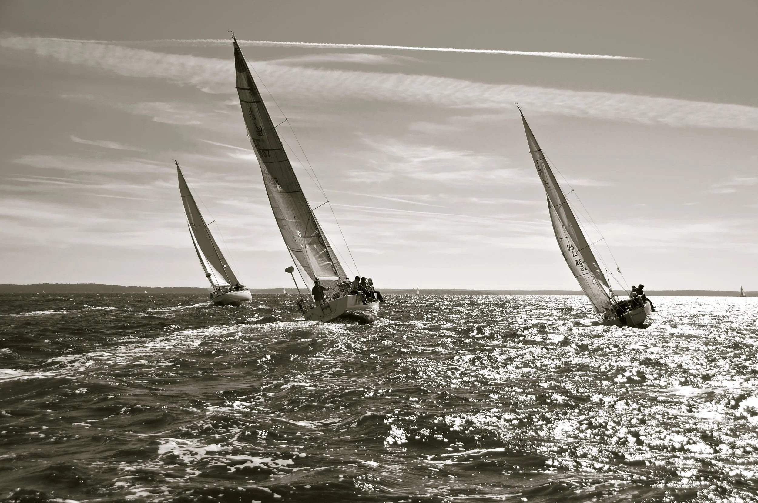 _DSC0438.jpg