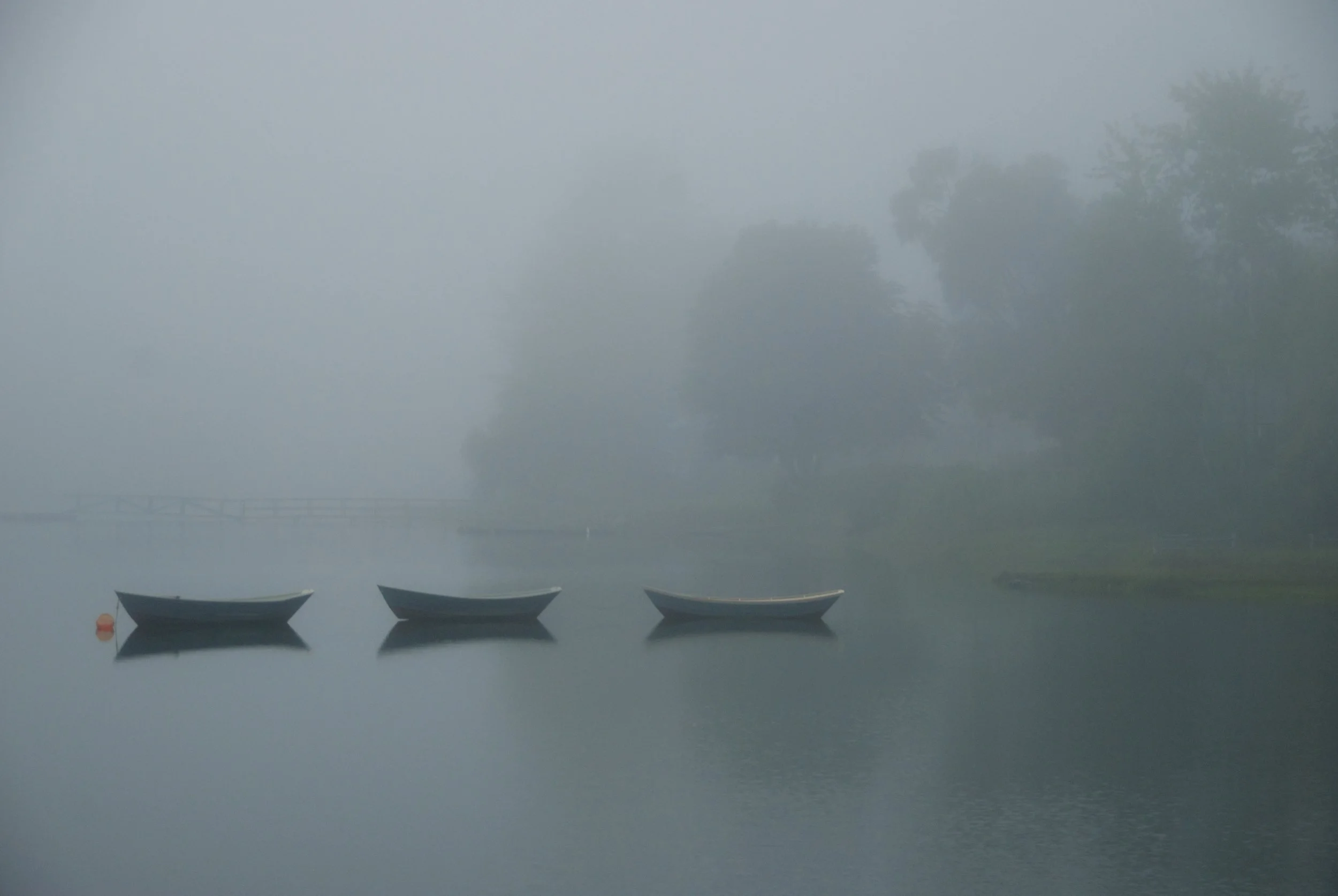 DSC_7579.1.jpg