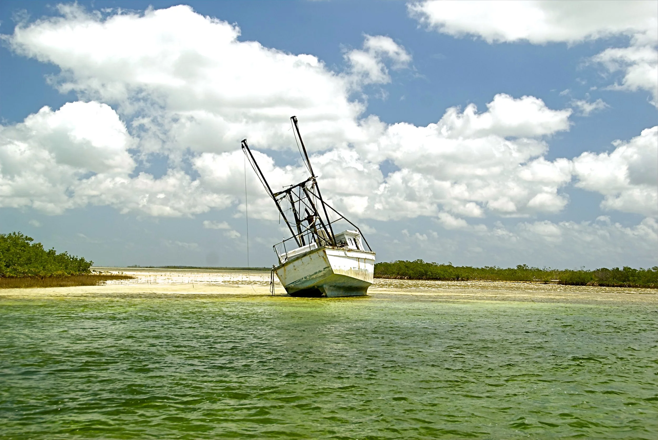 DSC_5408.jpg
