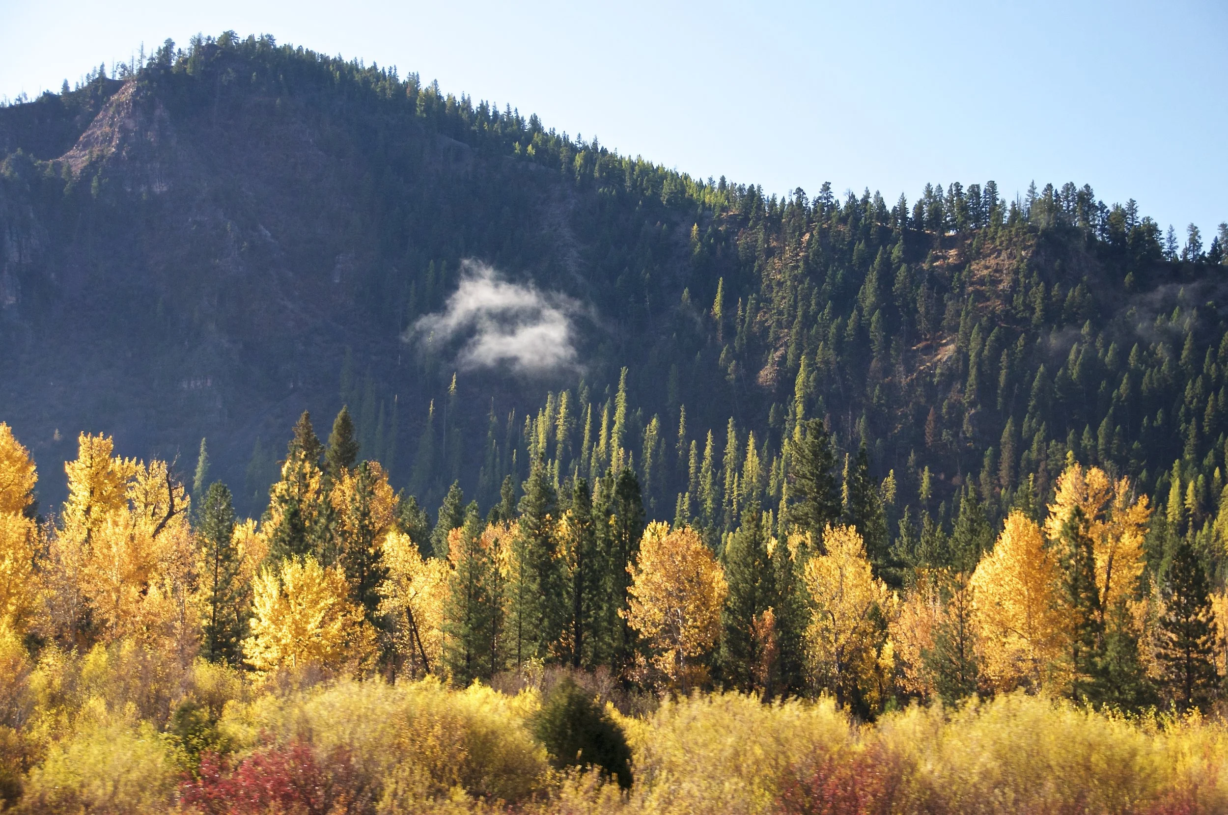 DSC_9944.jpg