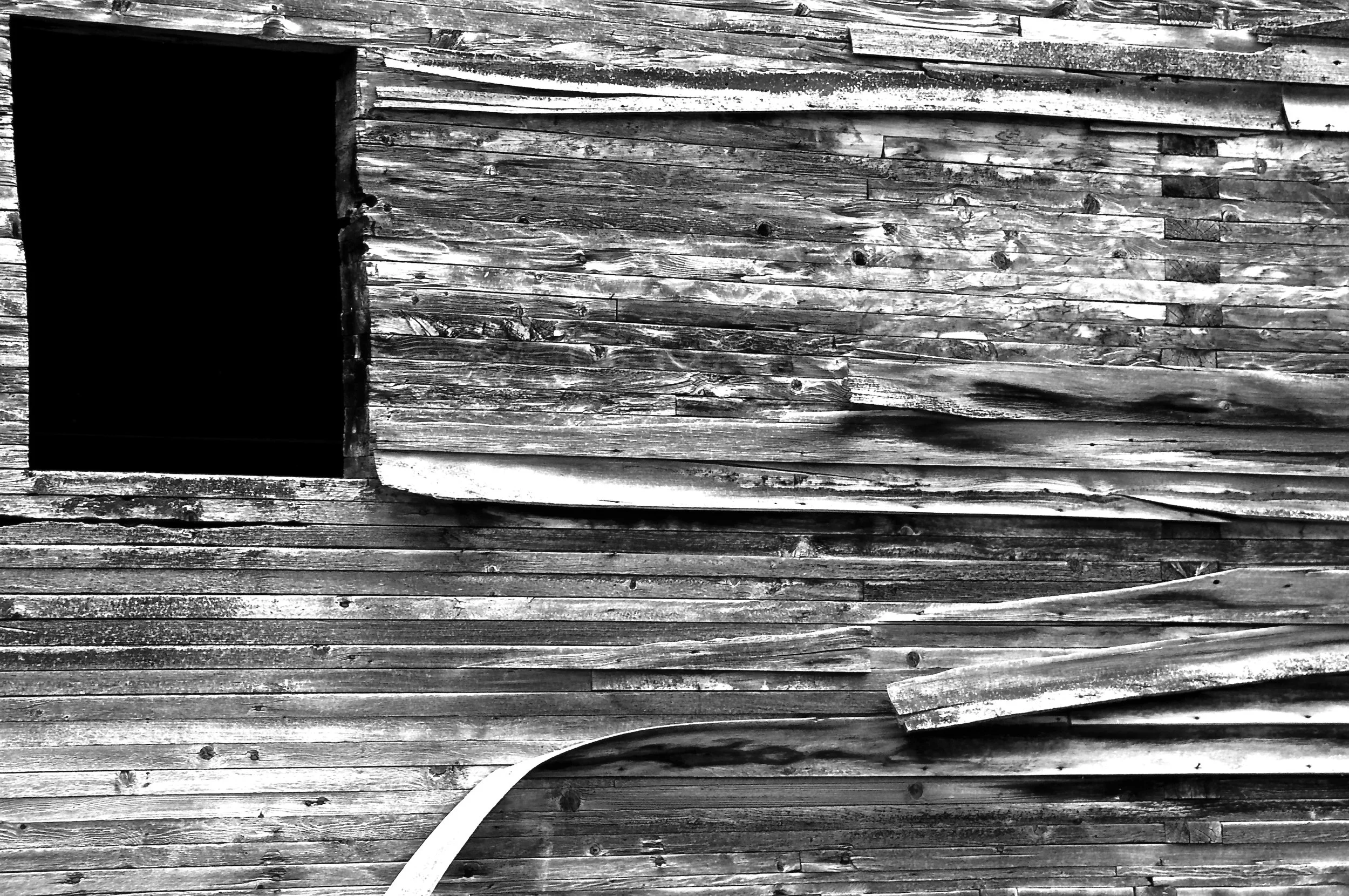 _DSC1413 - Version 2.jpg