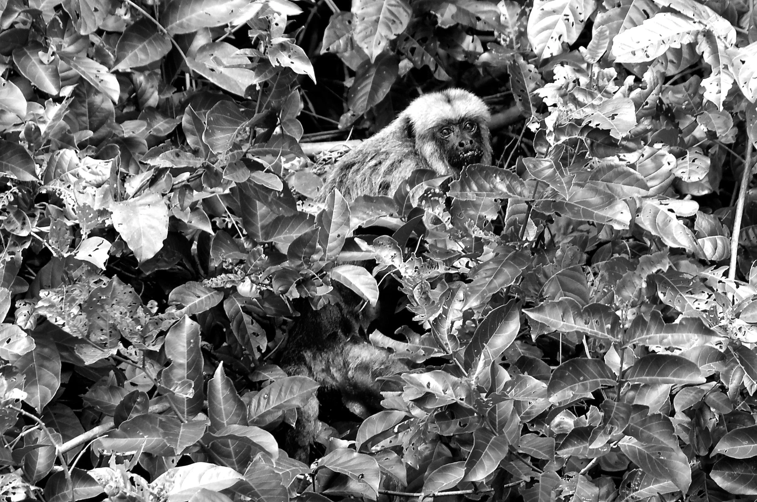 _DSC3121 - Version 2.jpg