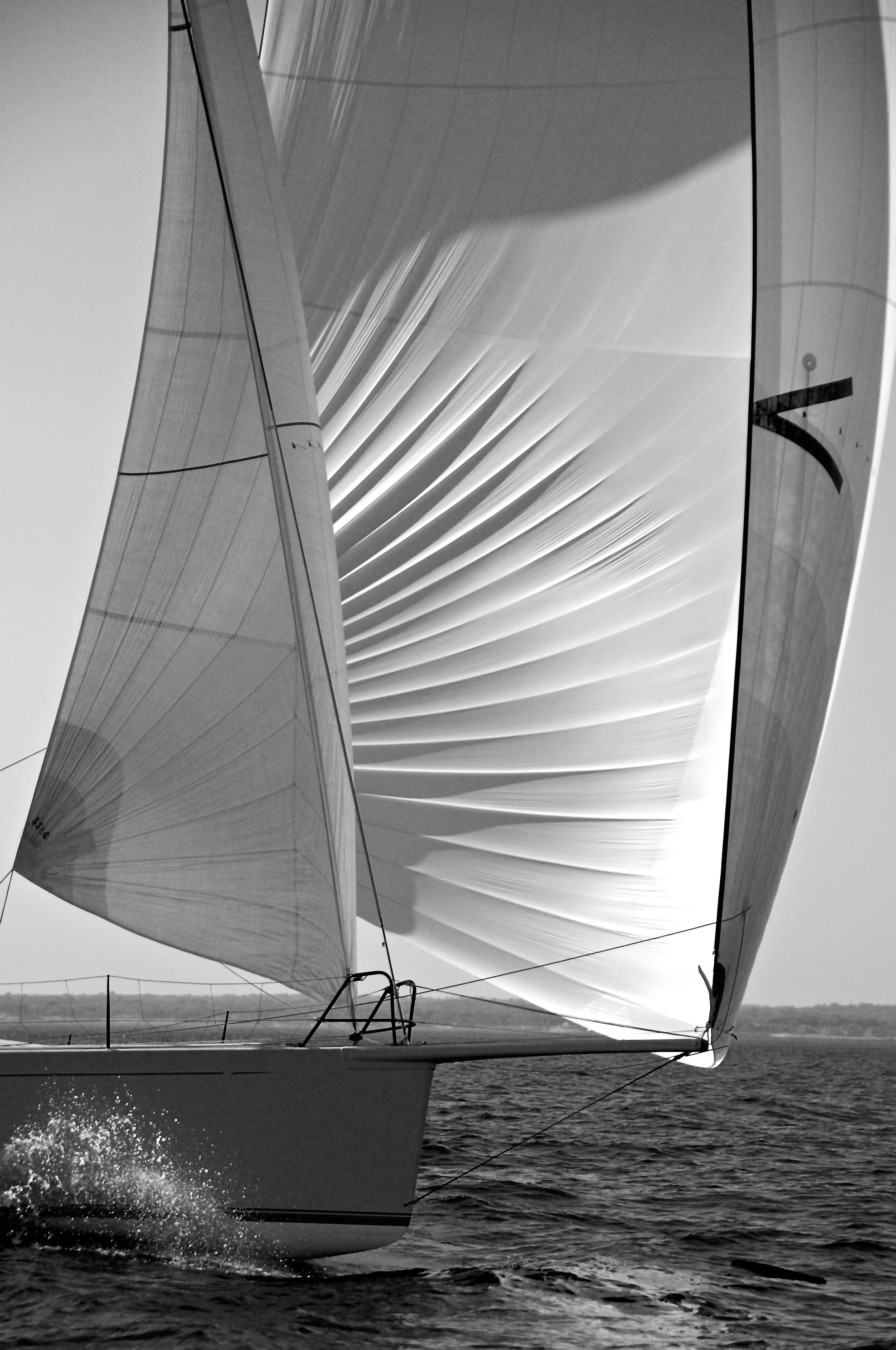 DSC_6546 - Version 2.jpg