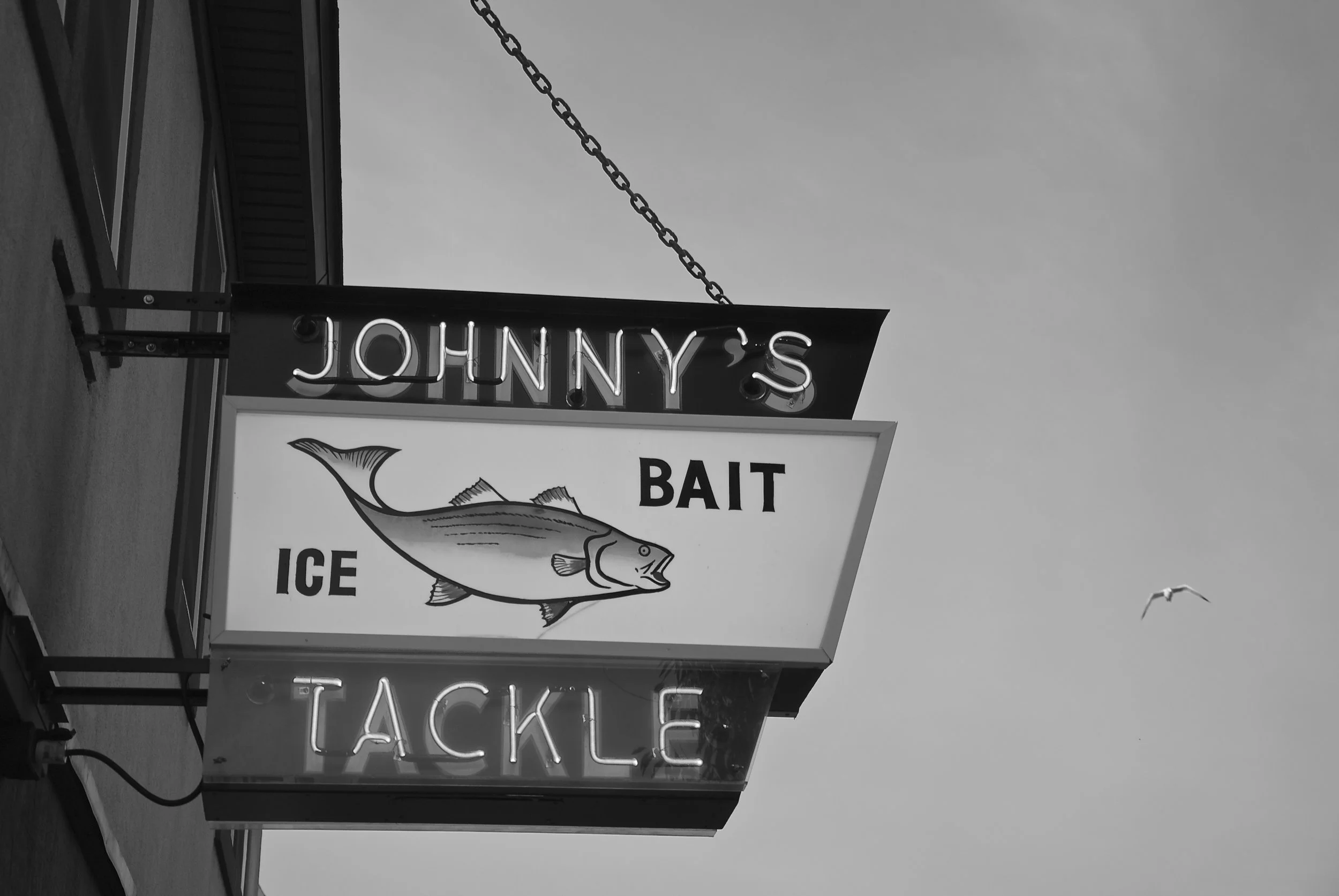 DSC_7917 - Version 2.jpg