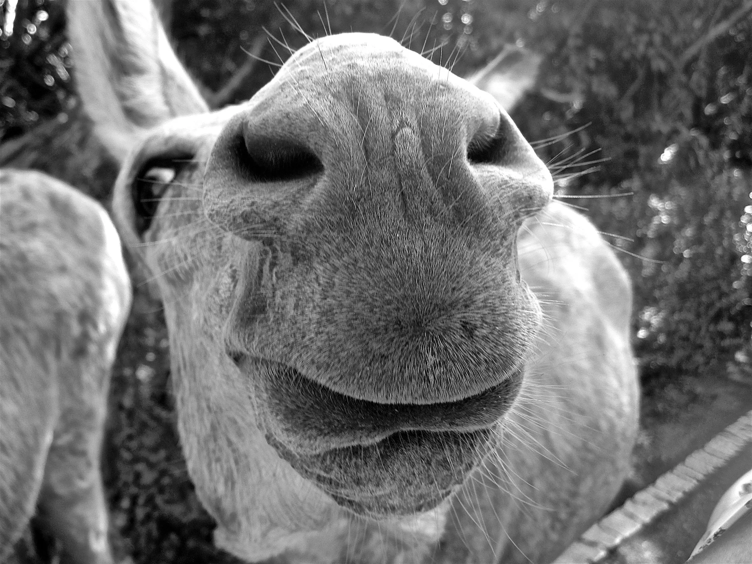 IMG_0426 - Version 2.JPG