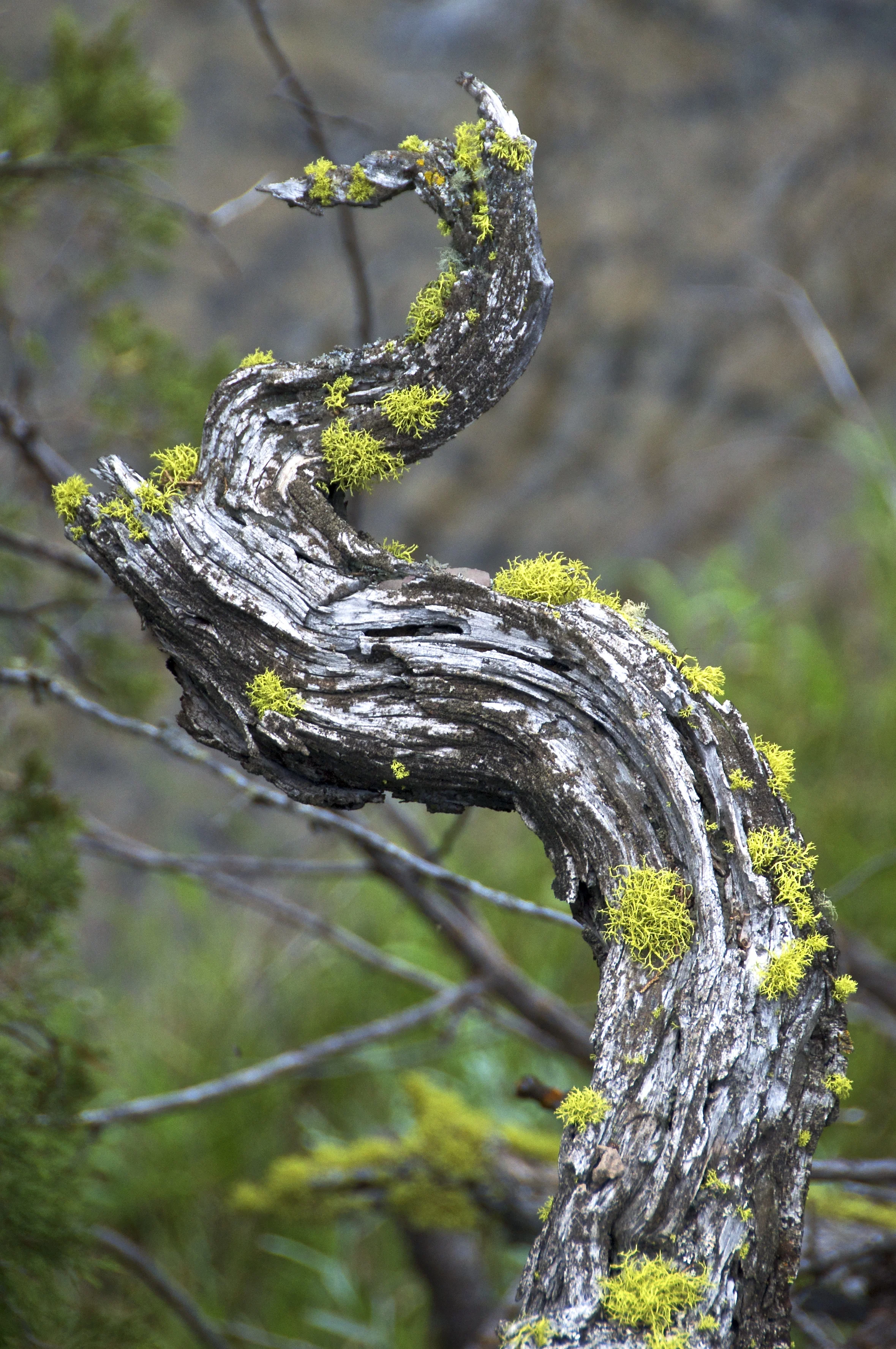 _DSC5144.jpg