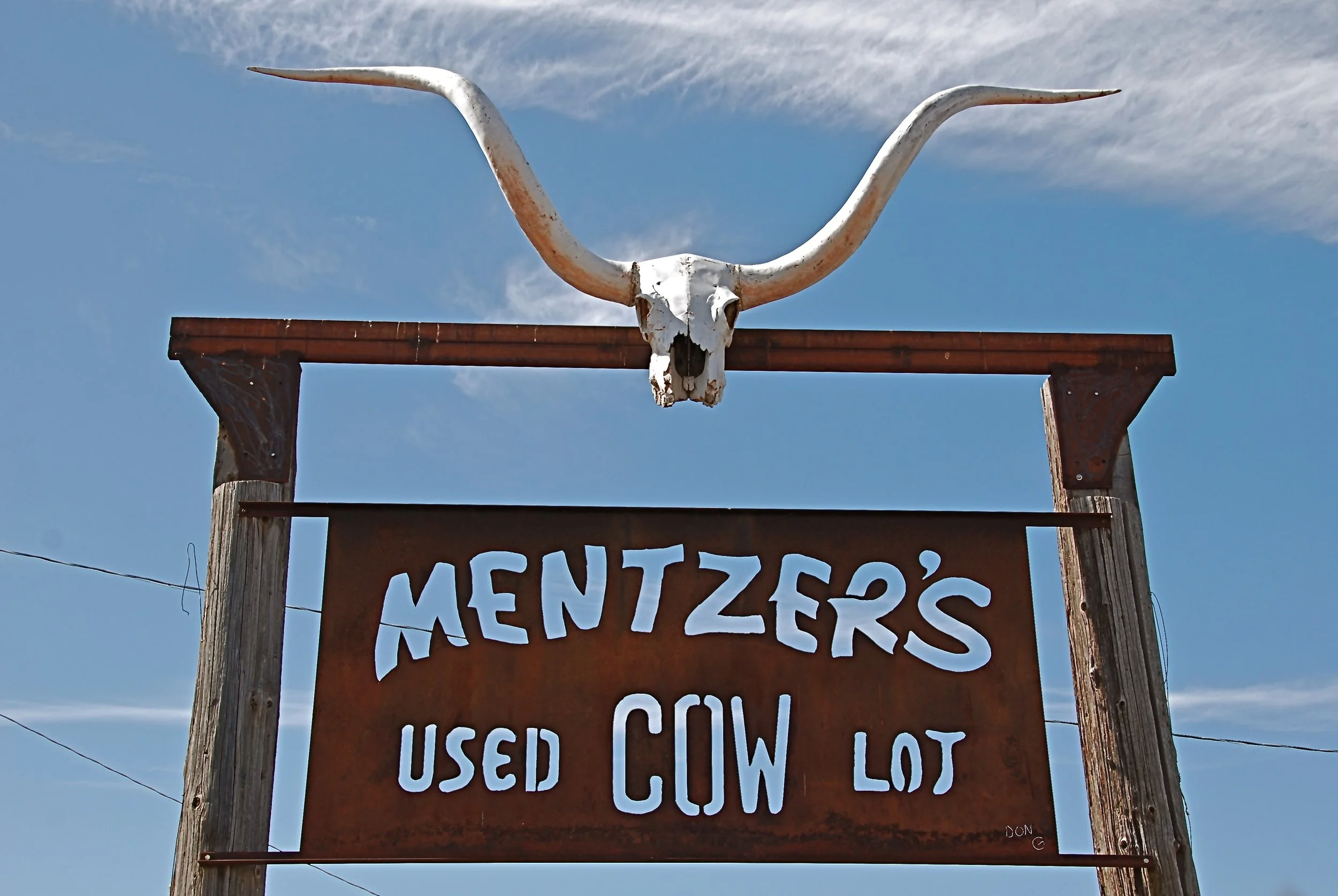 cowlot.JPG