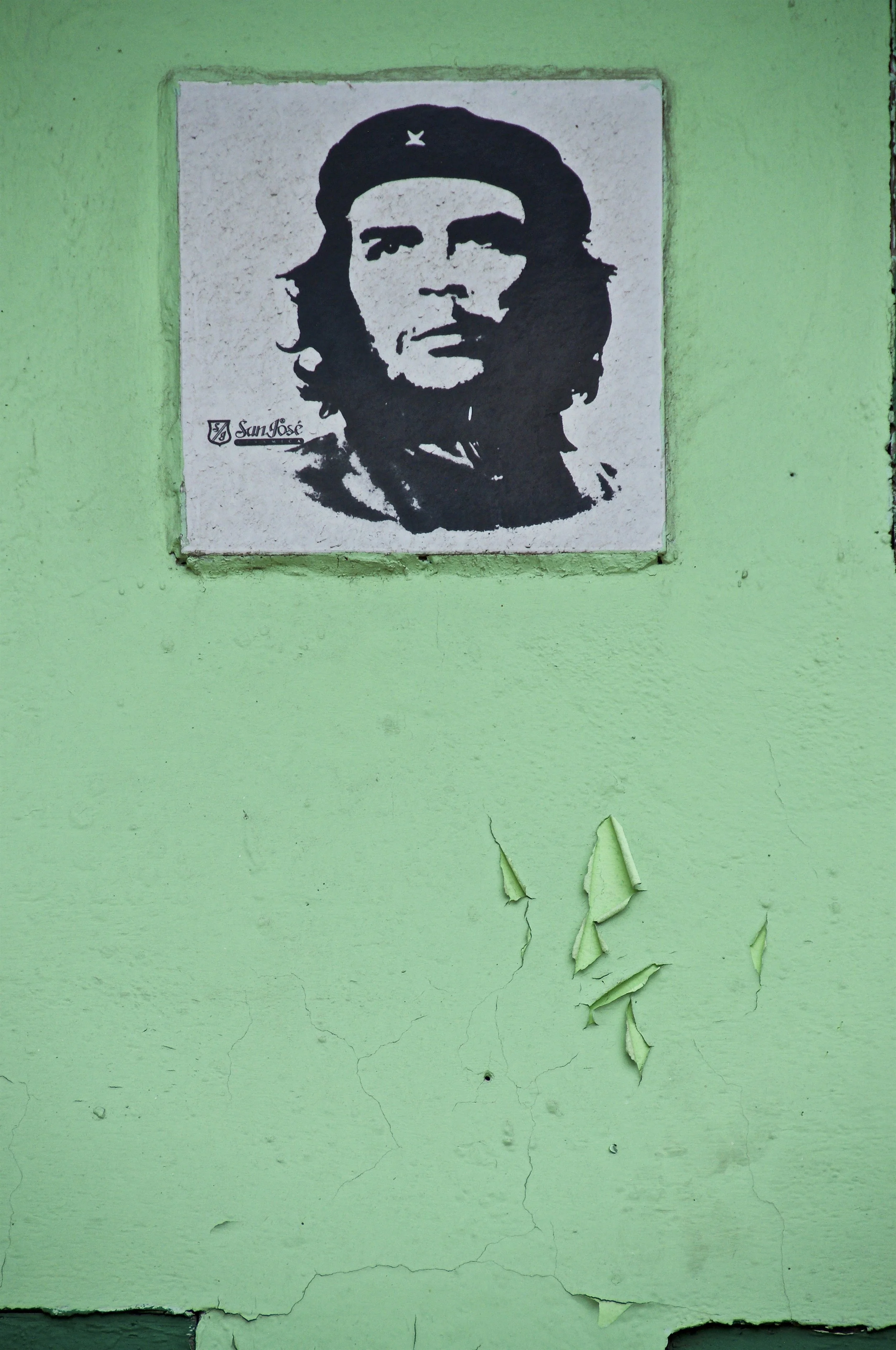 DSC_0981.jpg