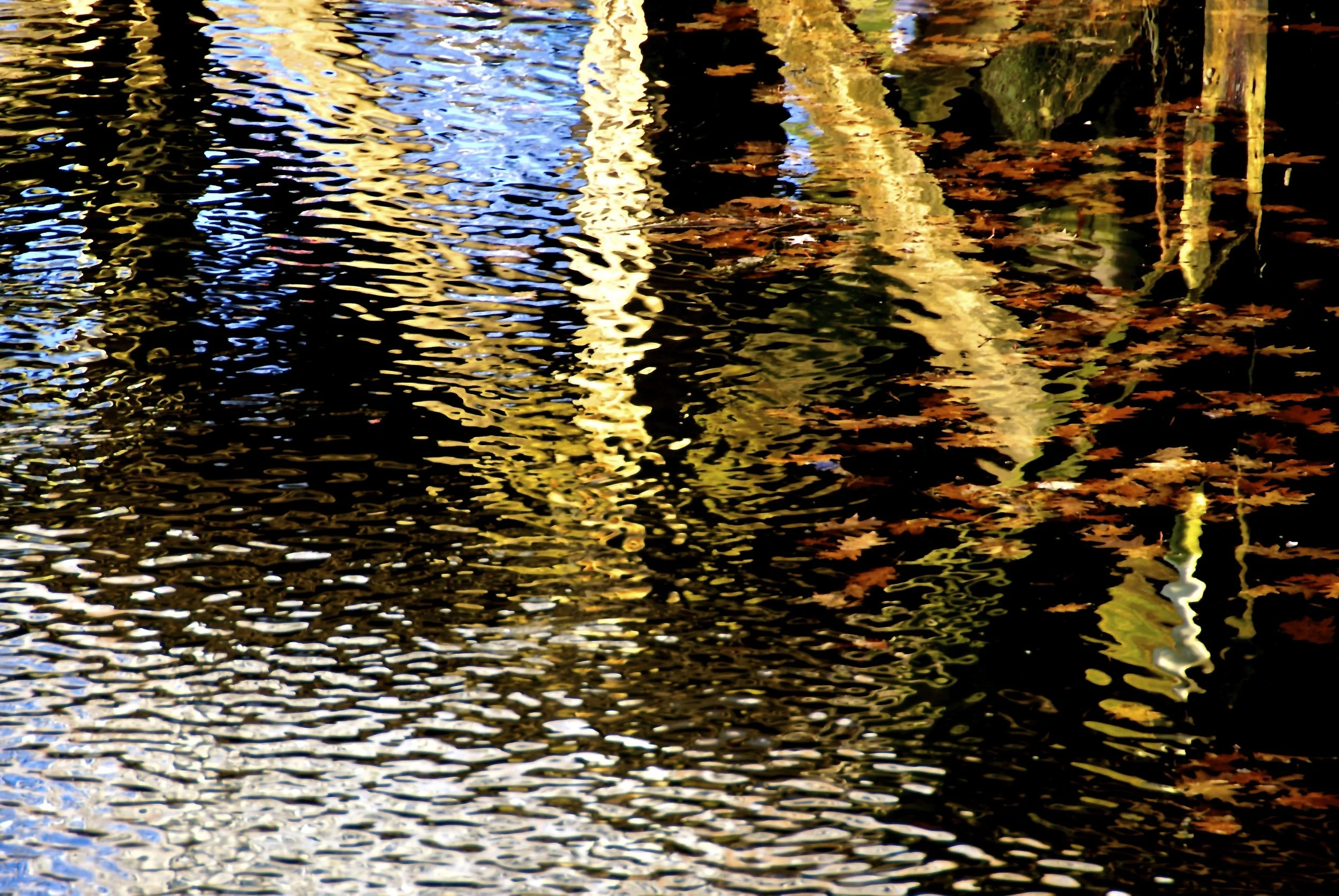 DSC_2342.jpg