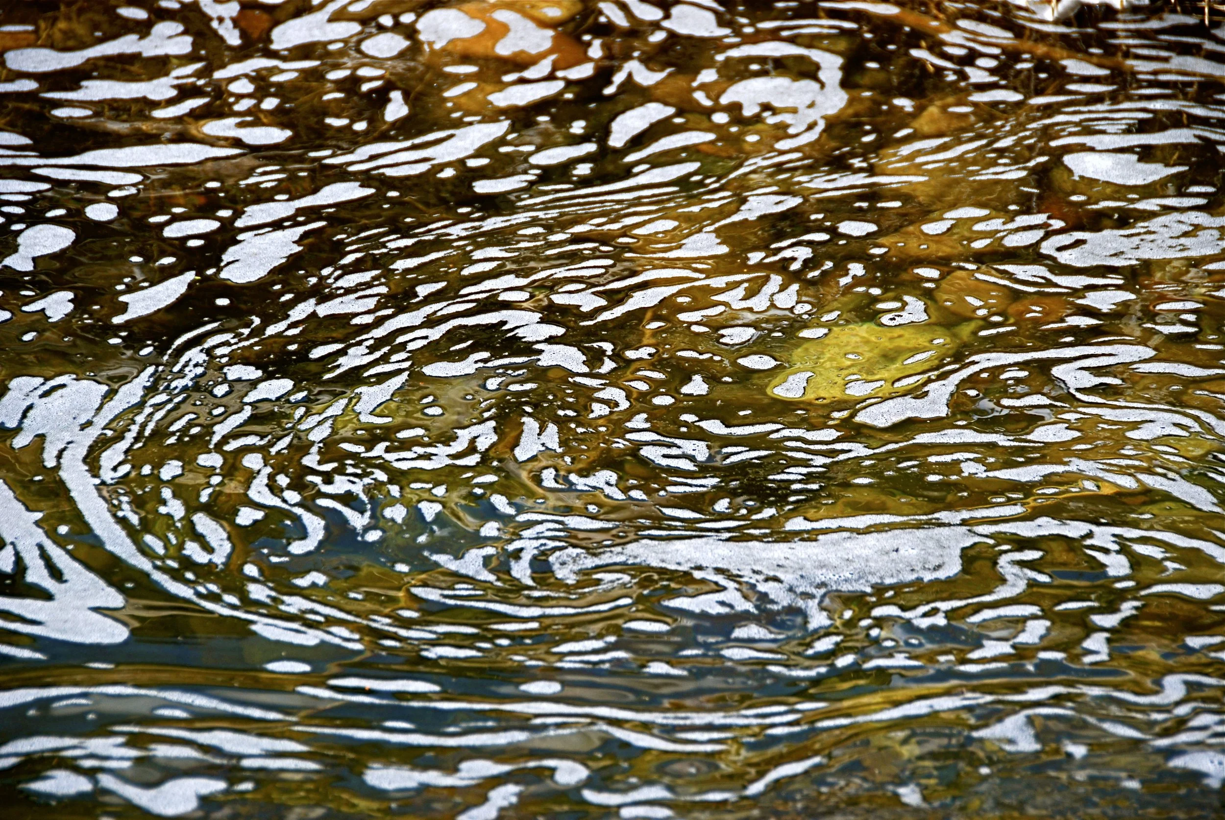 DSC_2557.JPG