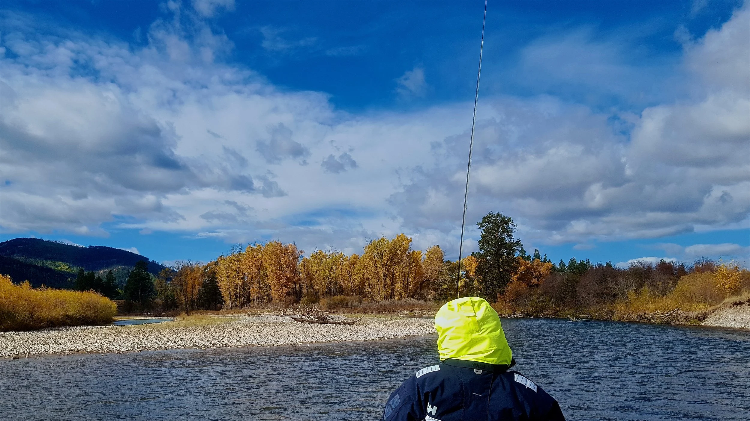 20171009_121534.jpg