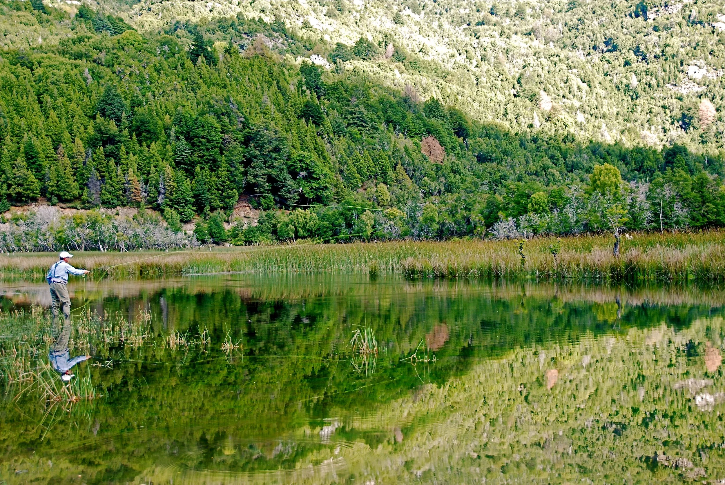 DSC_8844.JPG