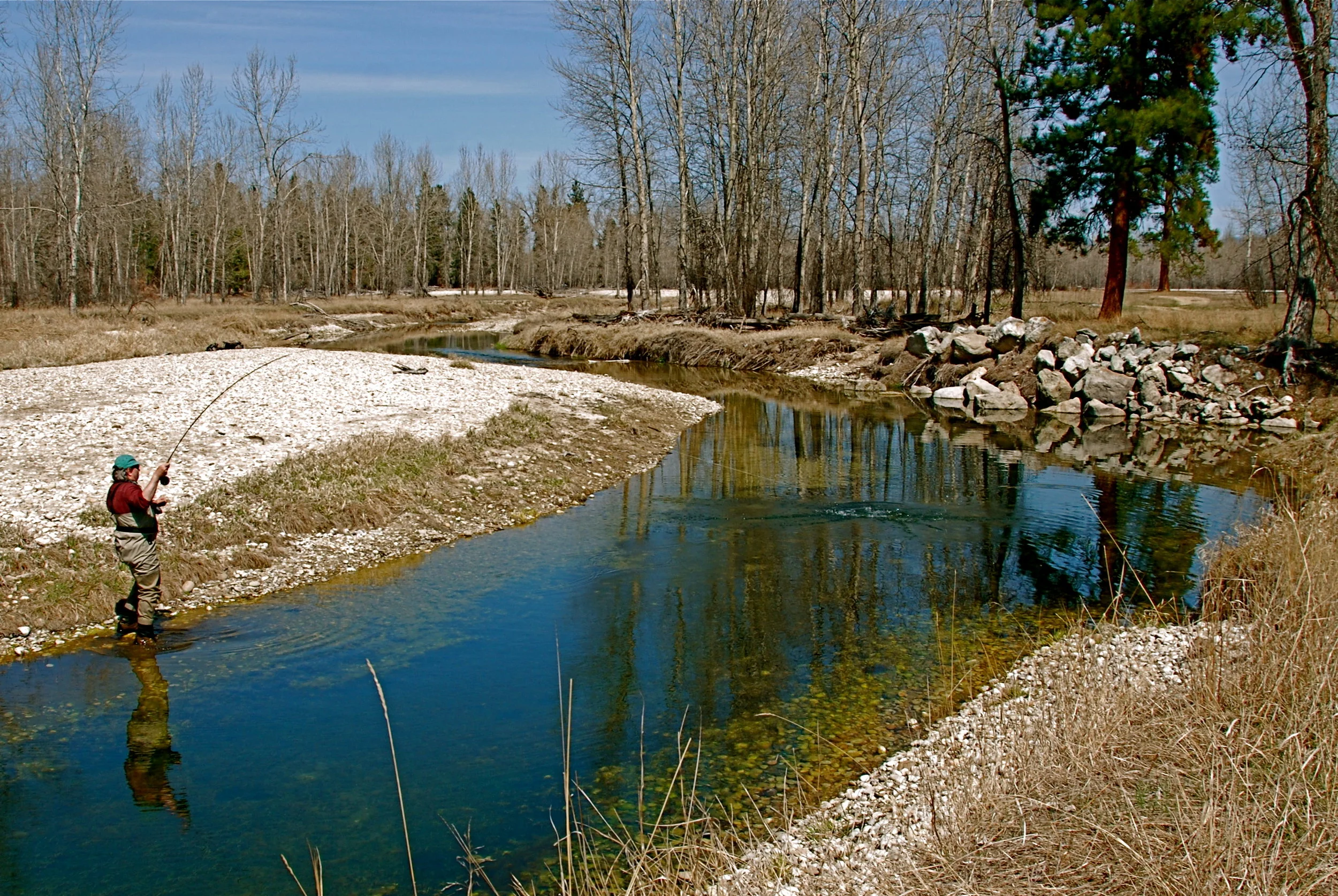 spring creek rainbow.JPG