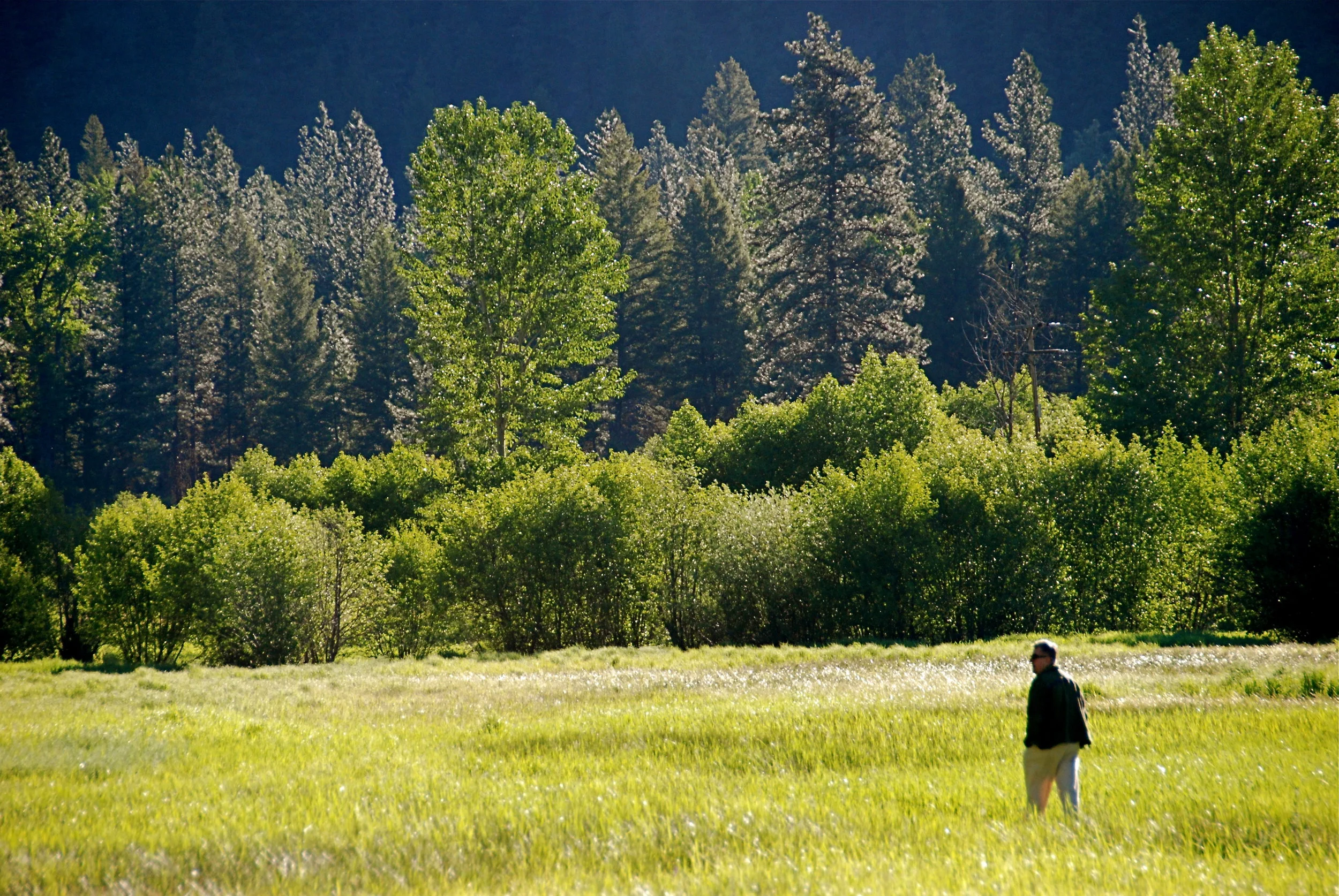 Outstanding in his field.JPG
