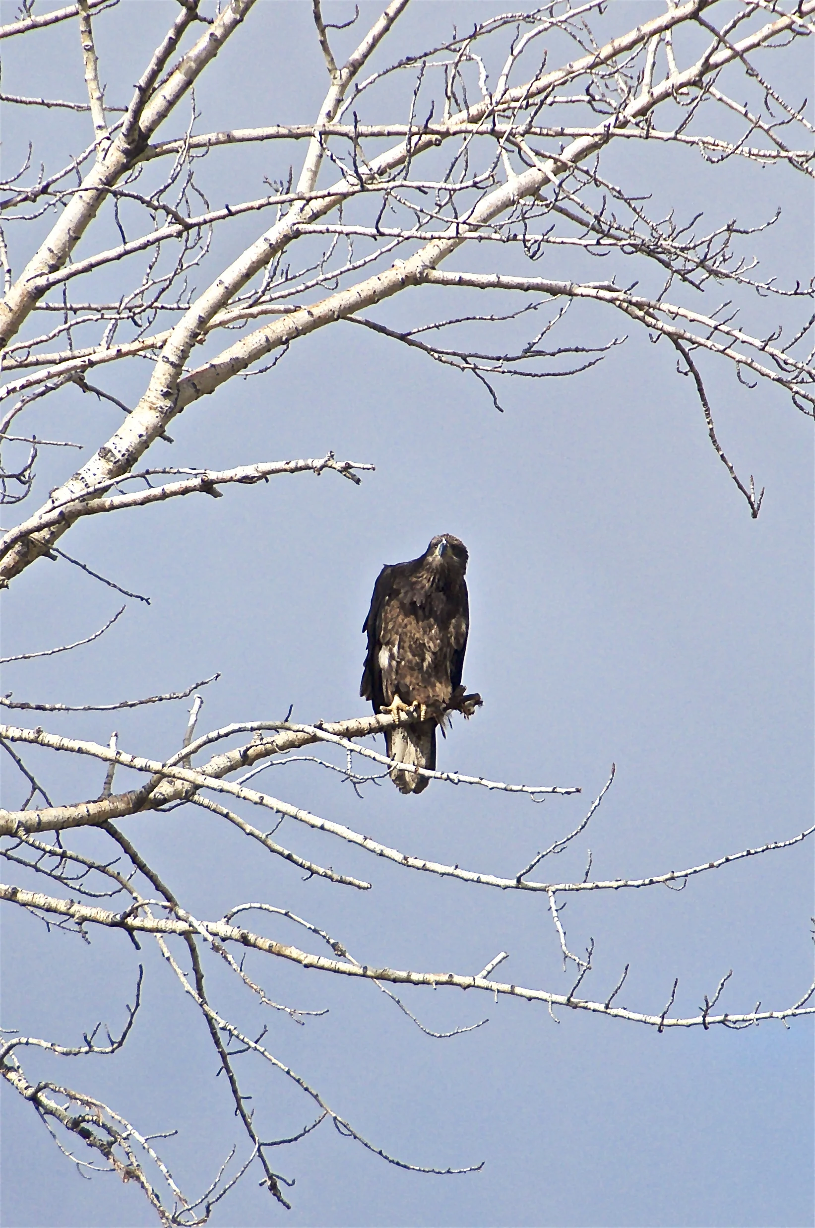 DSC_0174.jpg