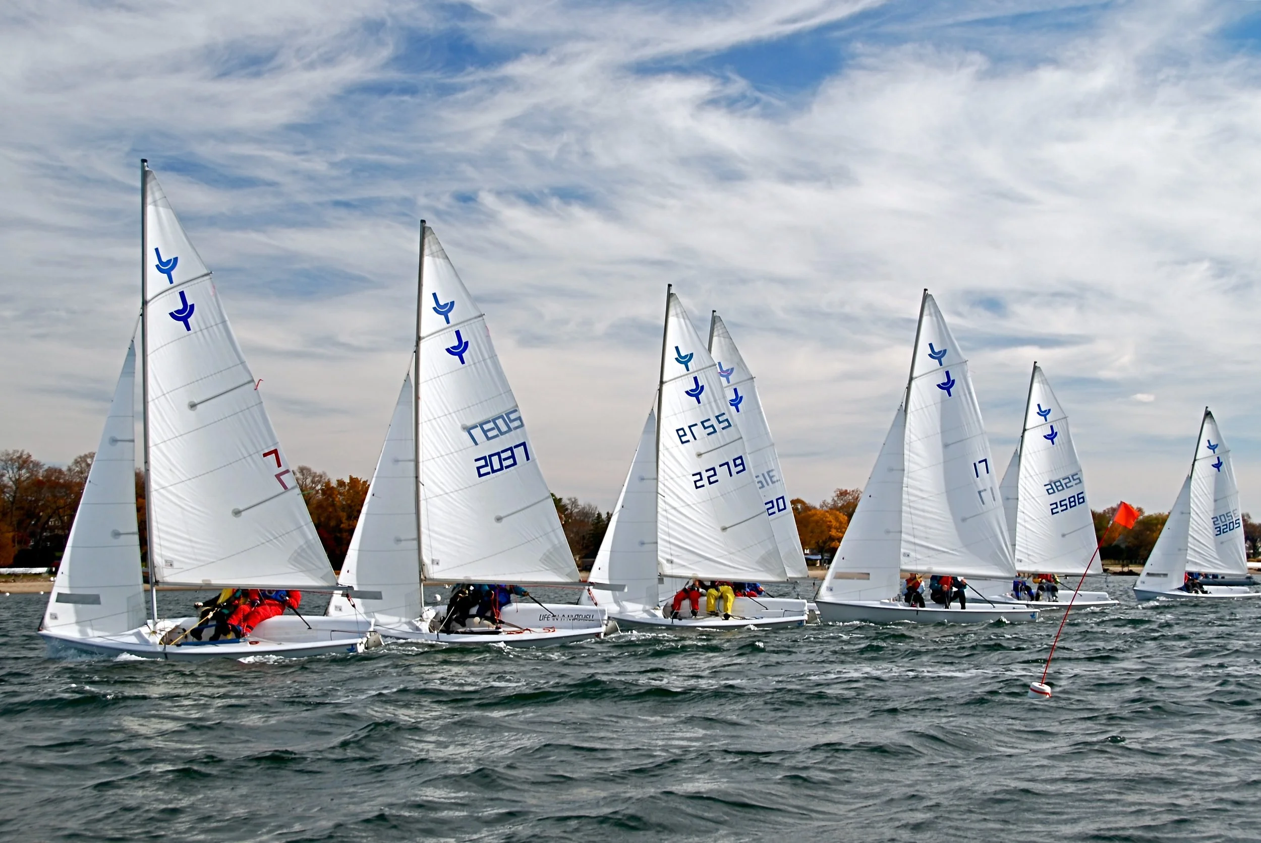 DSC_7303.JPG
