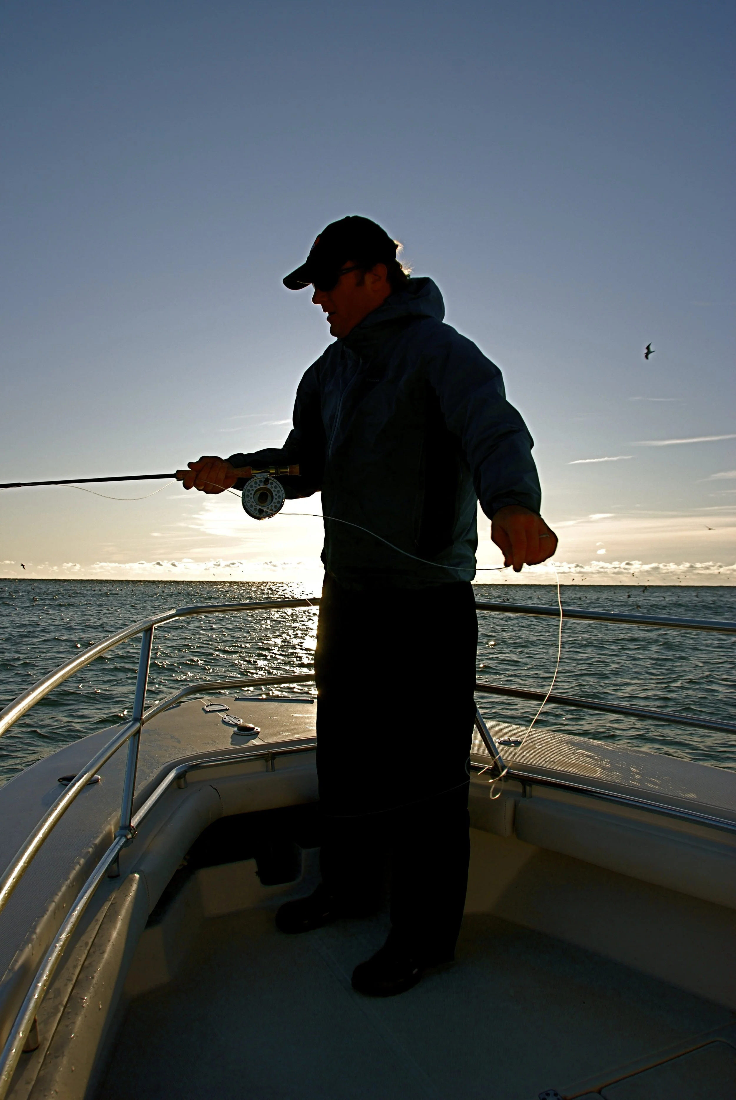 DSC_7648.JPG.jpg
