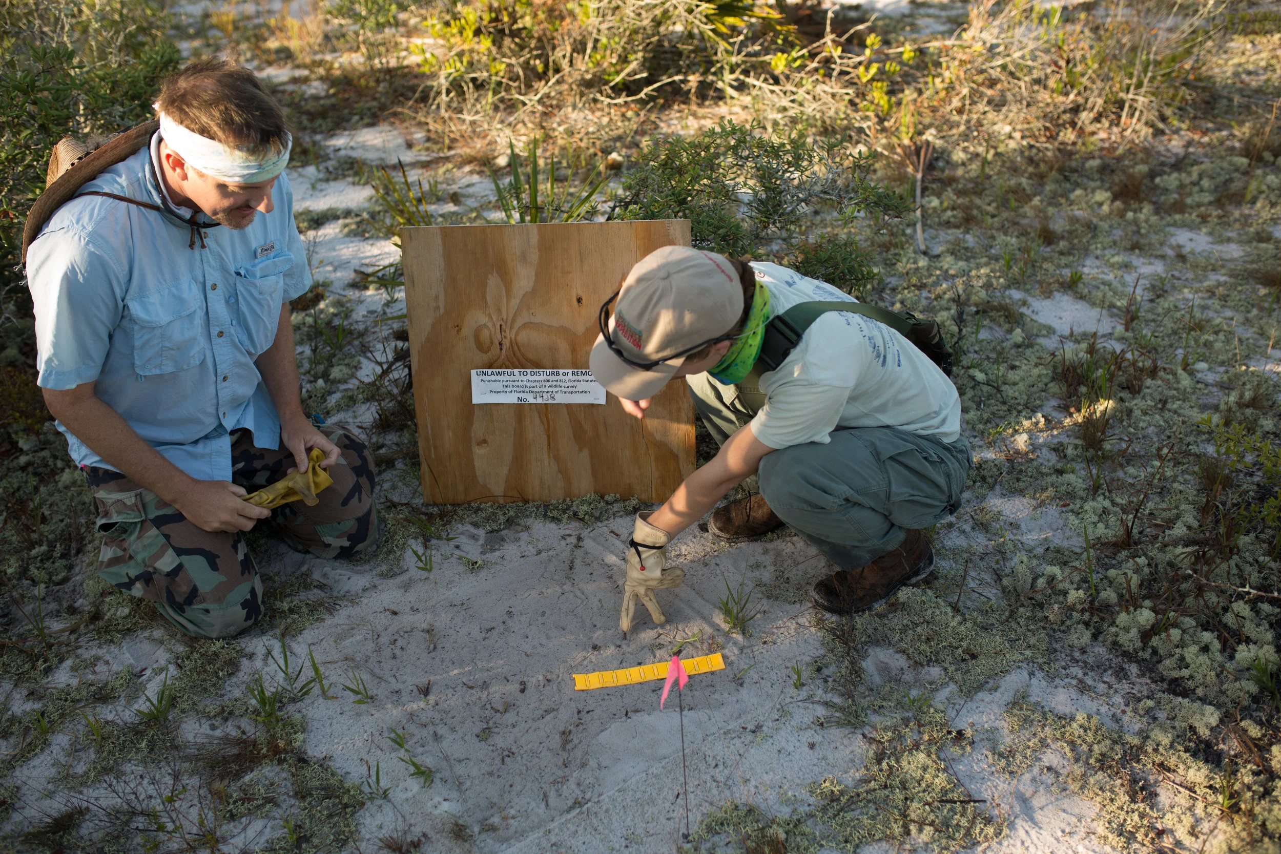 Sand Skink Earth Resources-10.jpg