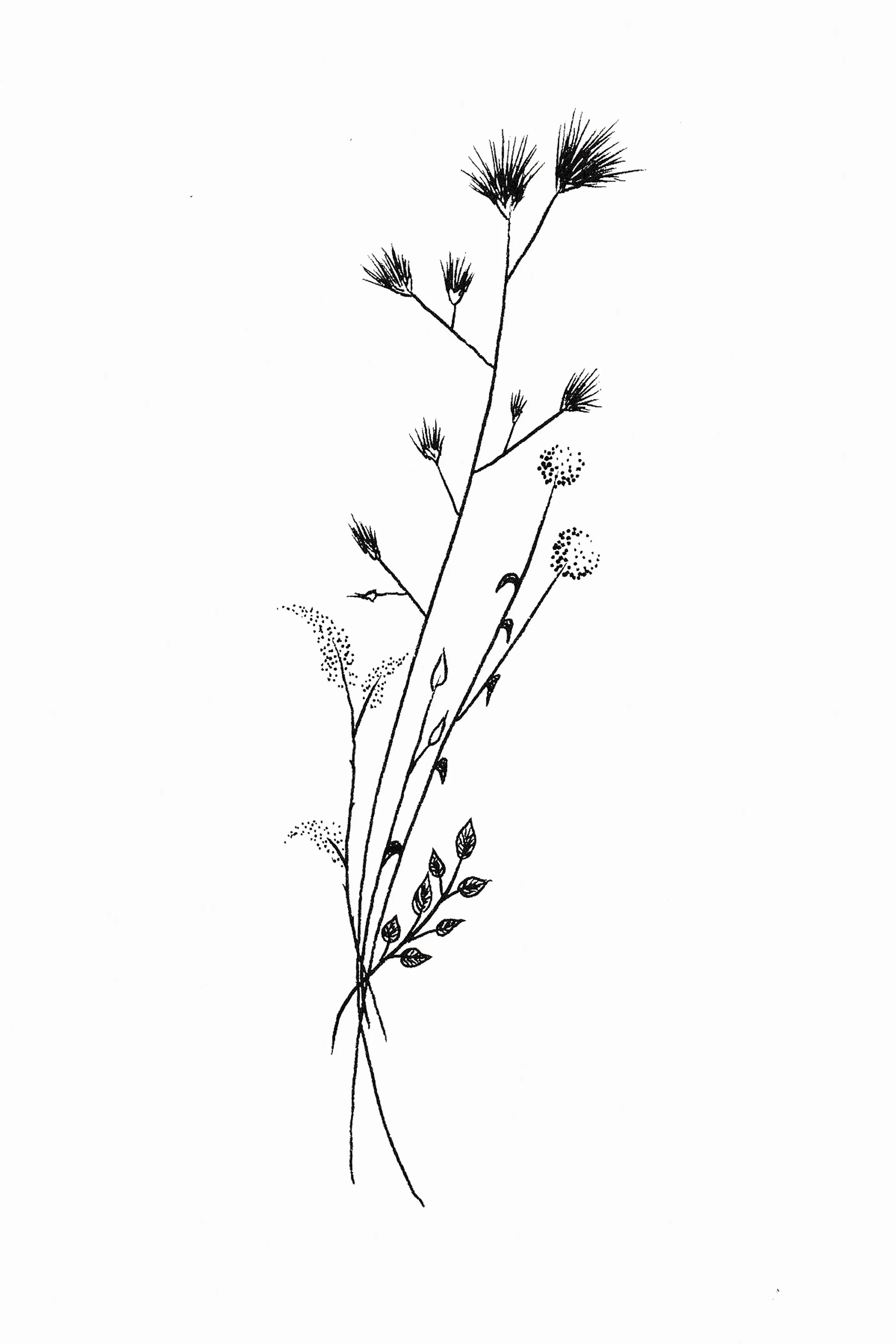 Floral Cluster sm.jpg