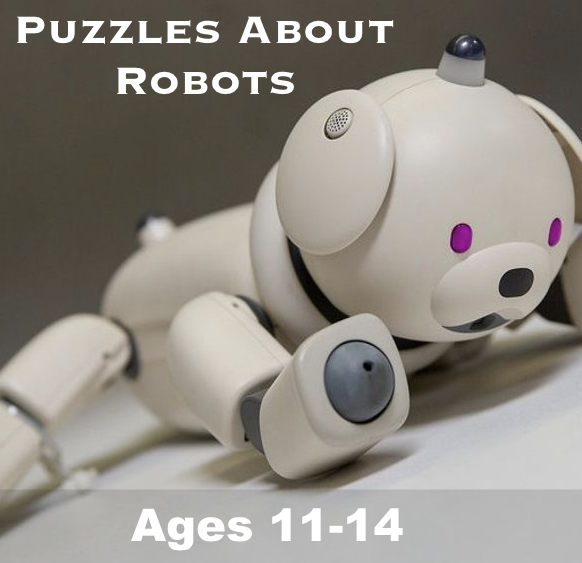 Puzzles about Robots: Minds, Brains, and Moral Responsibility