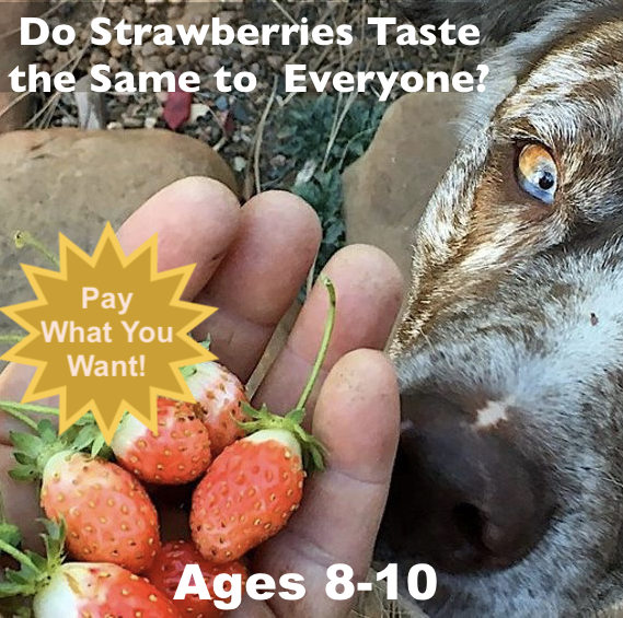 Do Strawberries Taste the Same to Everyone?