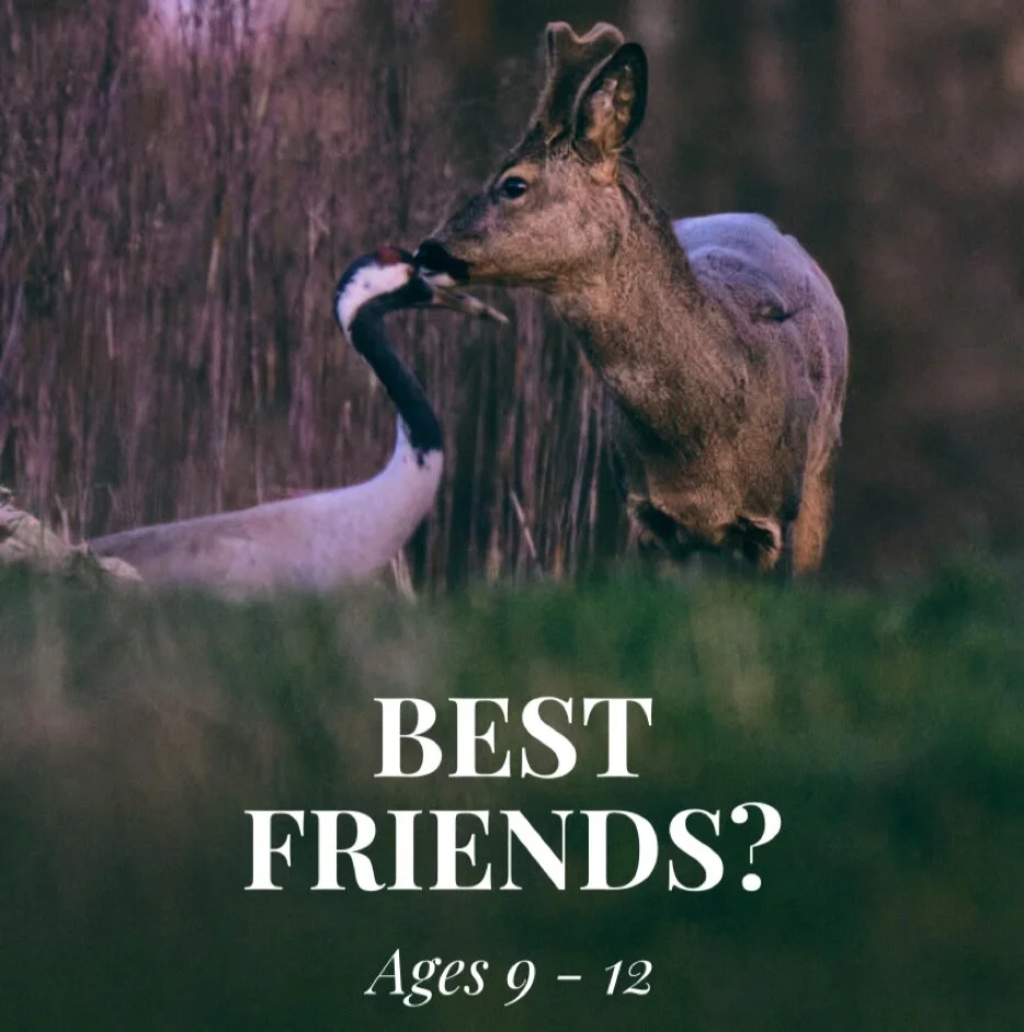 Can Different Species Be Friends?