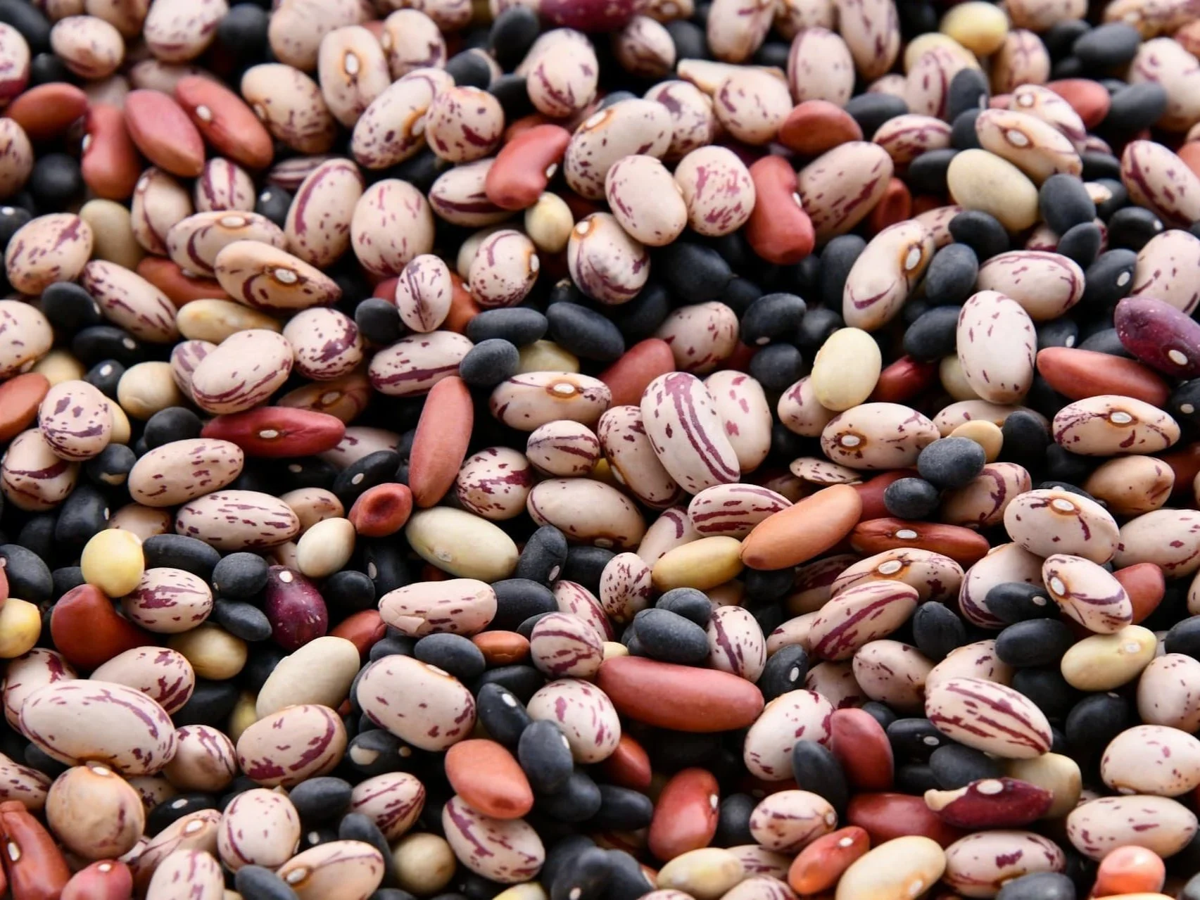 Nourish Your Body with Fiber: A Gentle Nutrition Guide