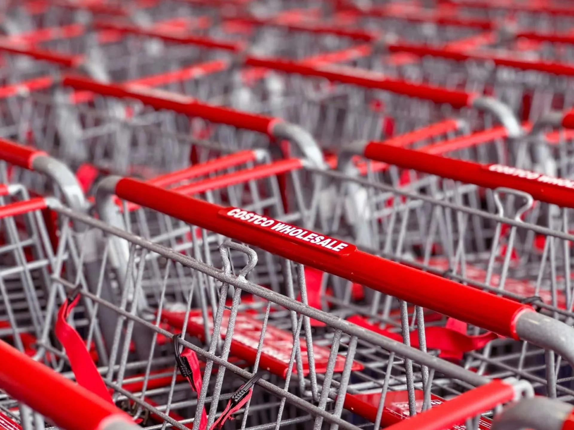 Confessions of a Freezer Squirrel: The Costco Breakdown