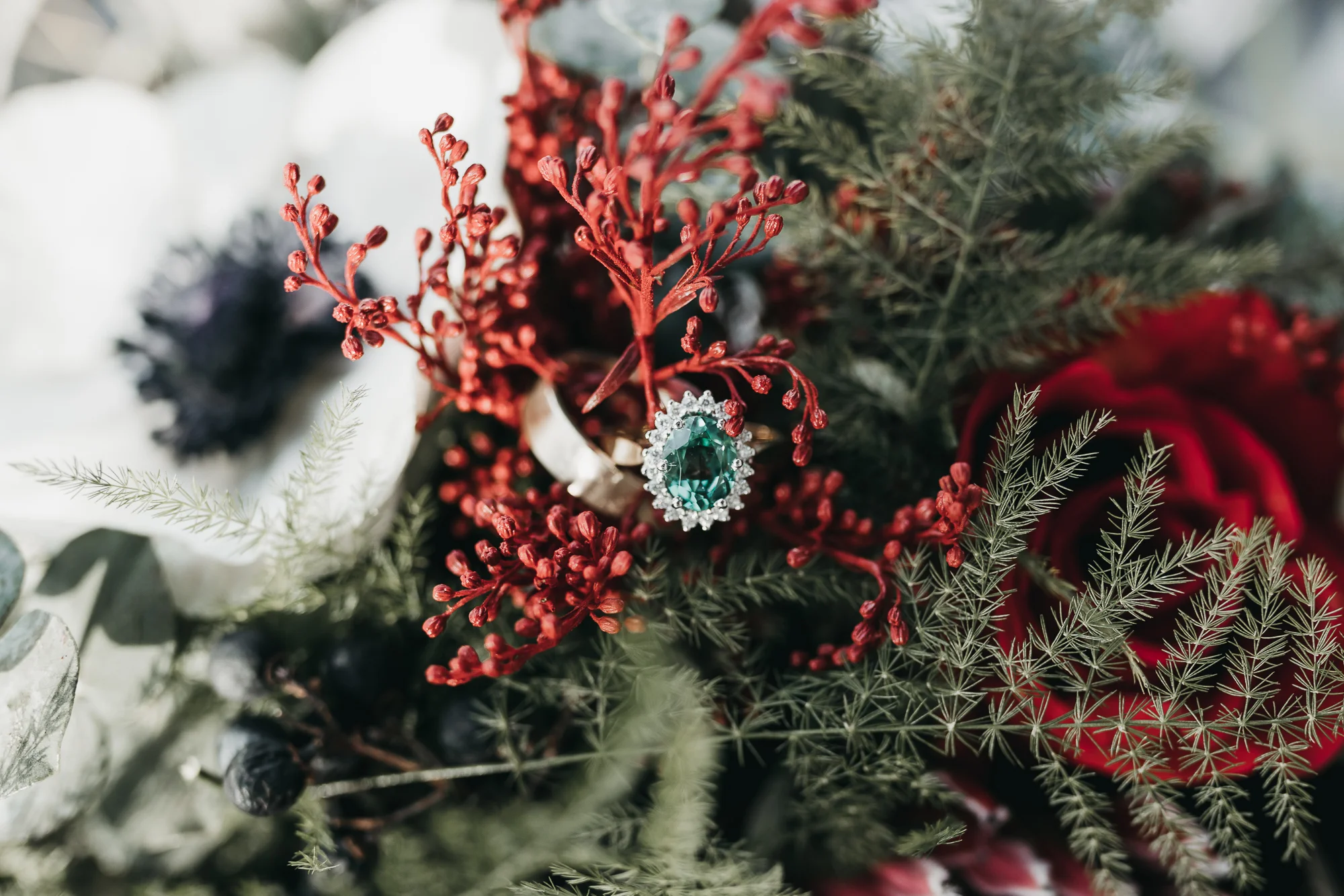 InspirationGallery.AllieKnull'sPhotography-2.jpg