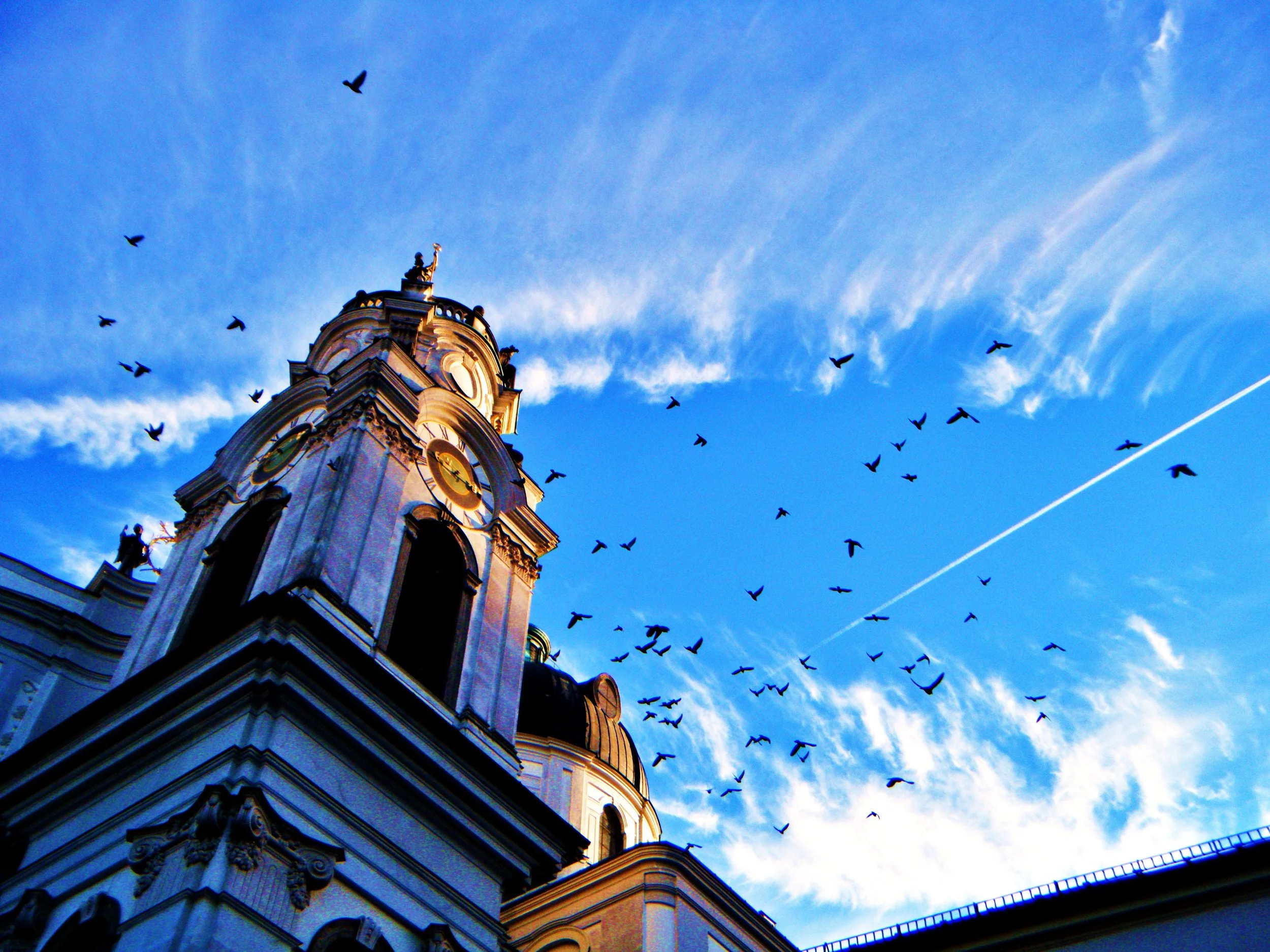 DSCF3056.JPG