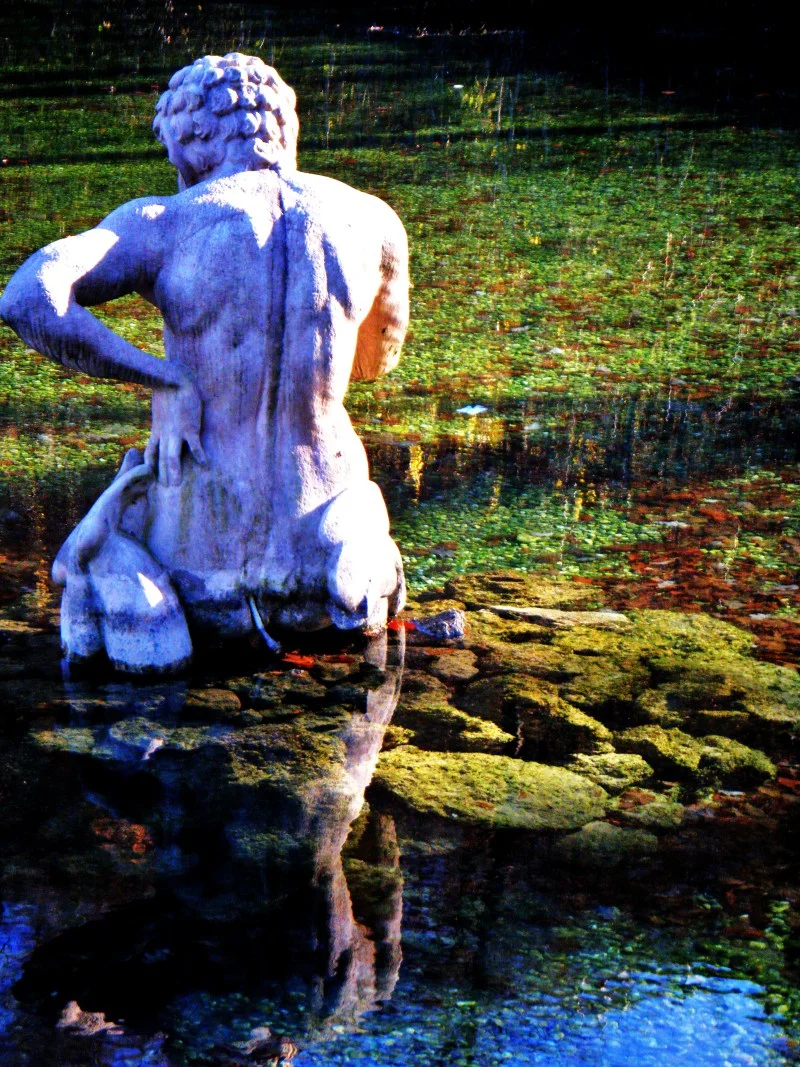 man-in-the-pond.jpg