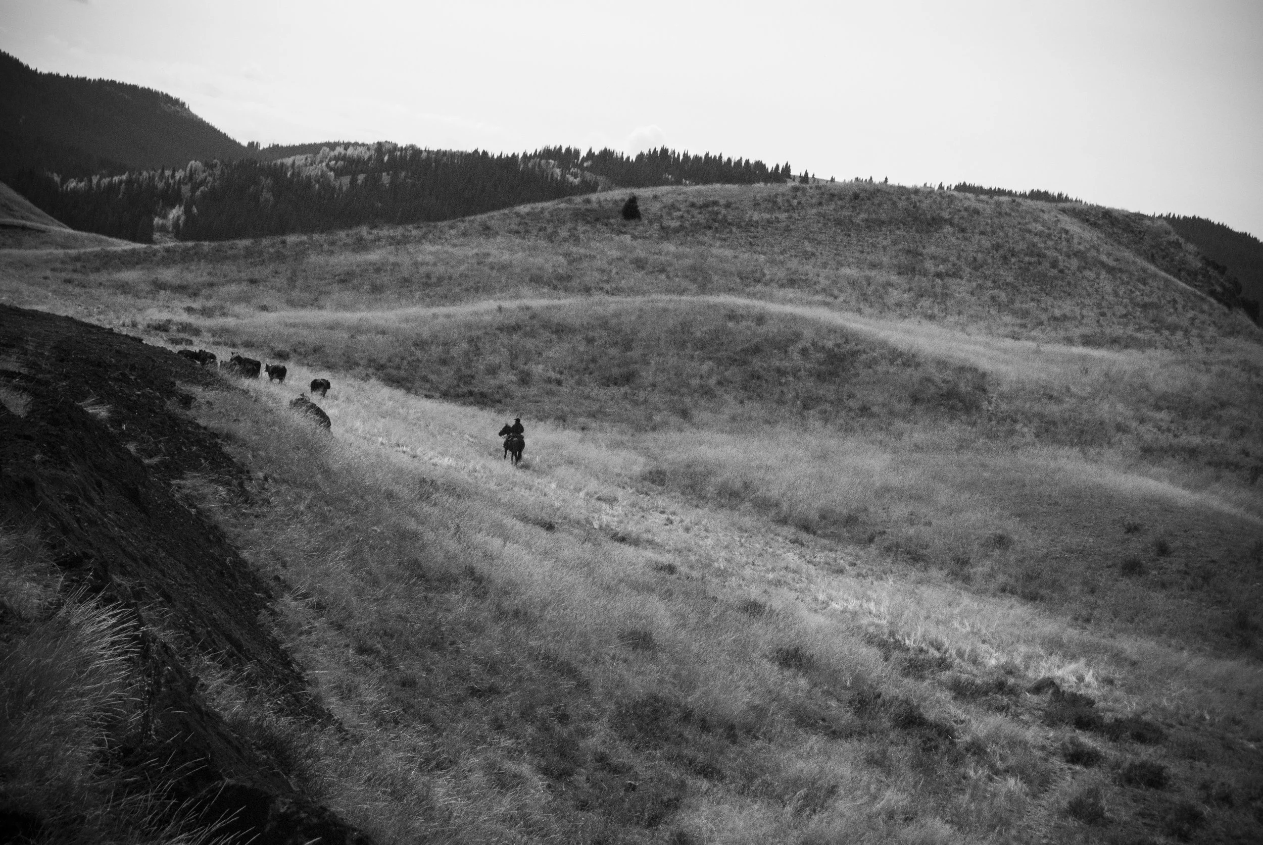 DSC06680_2.jpg