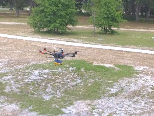 first coast headerimage.jpeg