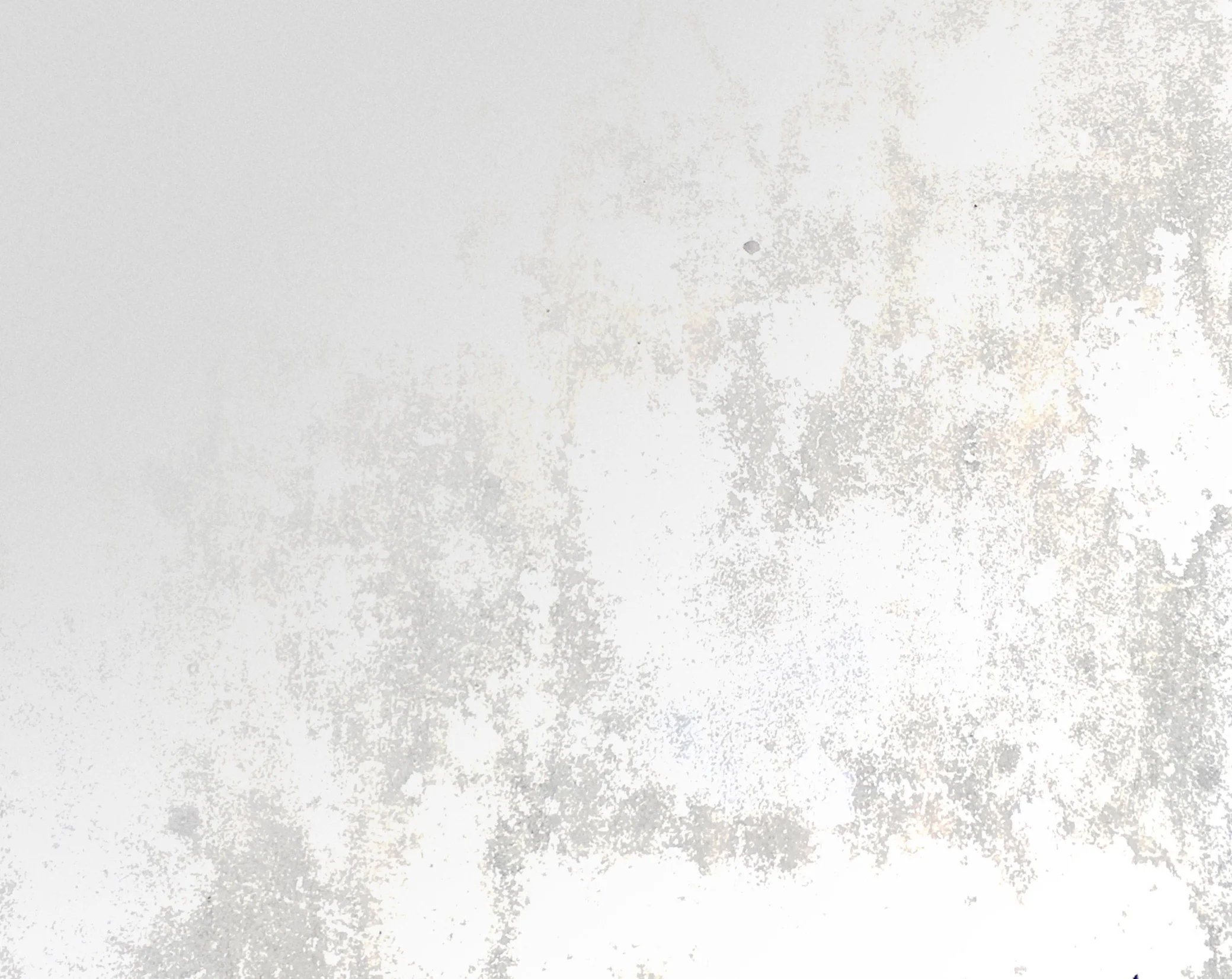 whiteback+copy.jpg