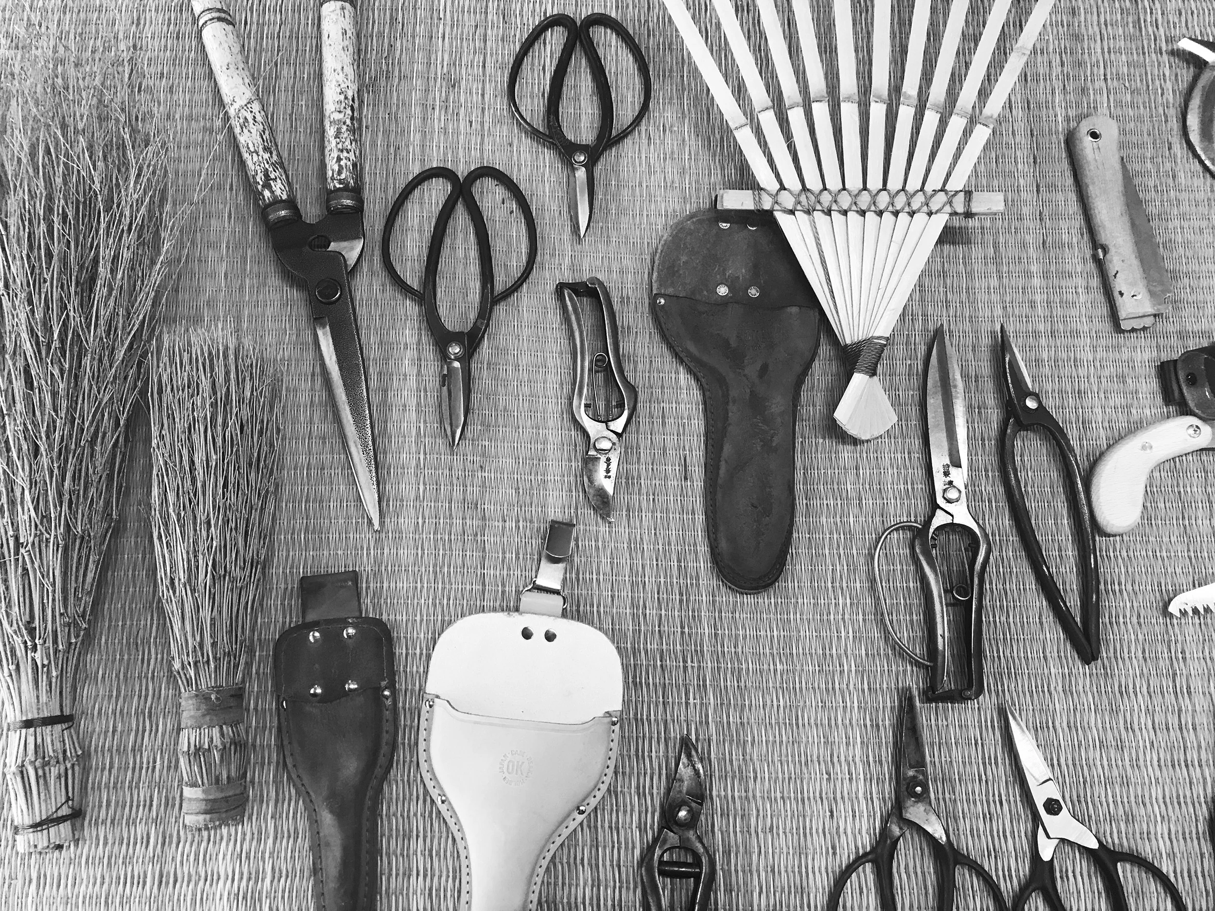 IMG_5849_bw.jpg