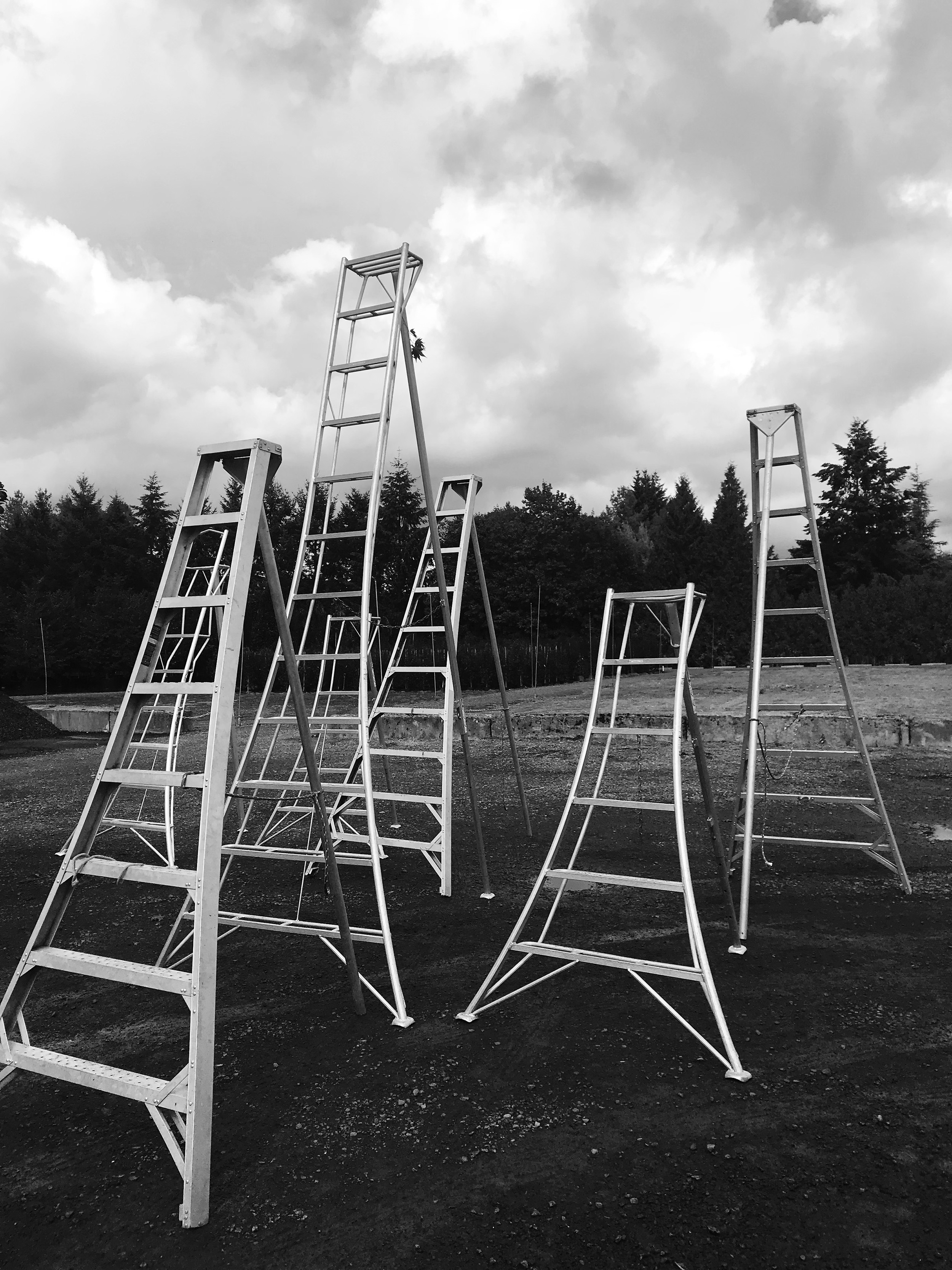 IMG_5894_bw.jpg