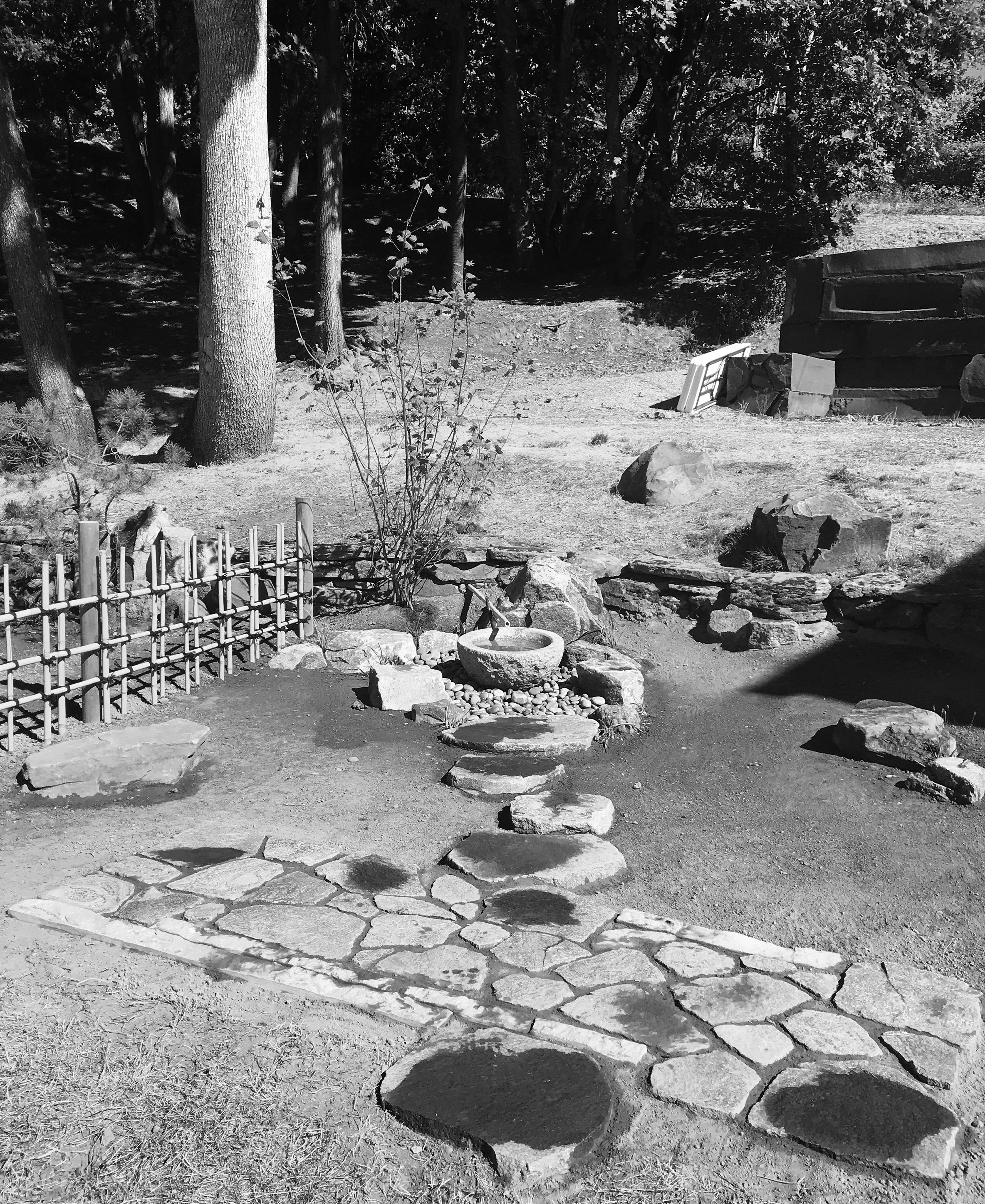 IMG_5921_bw.jpg