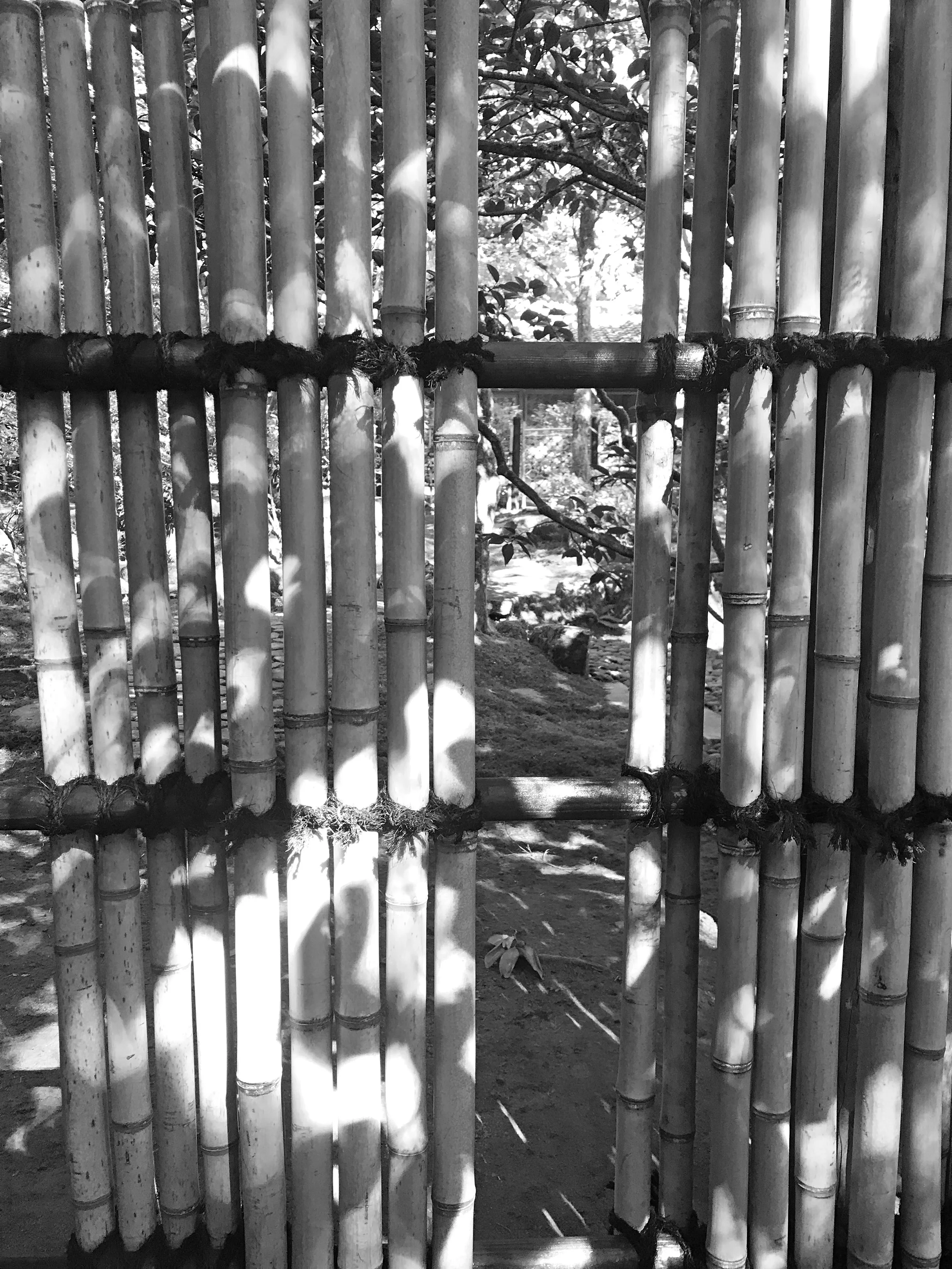 IMG_5941_bw.jpg