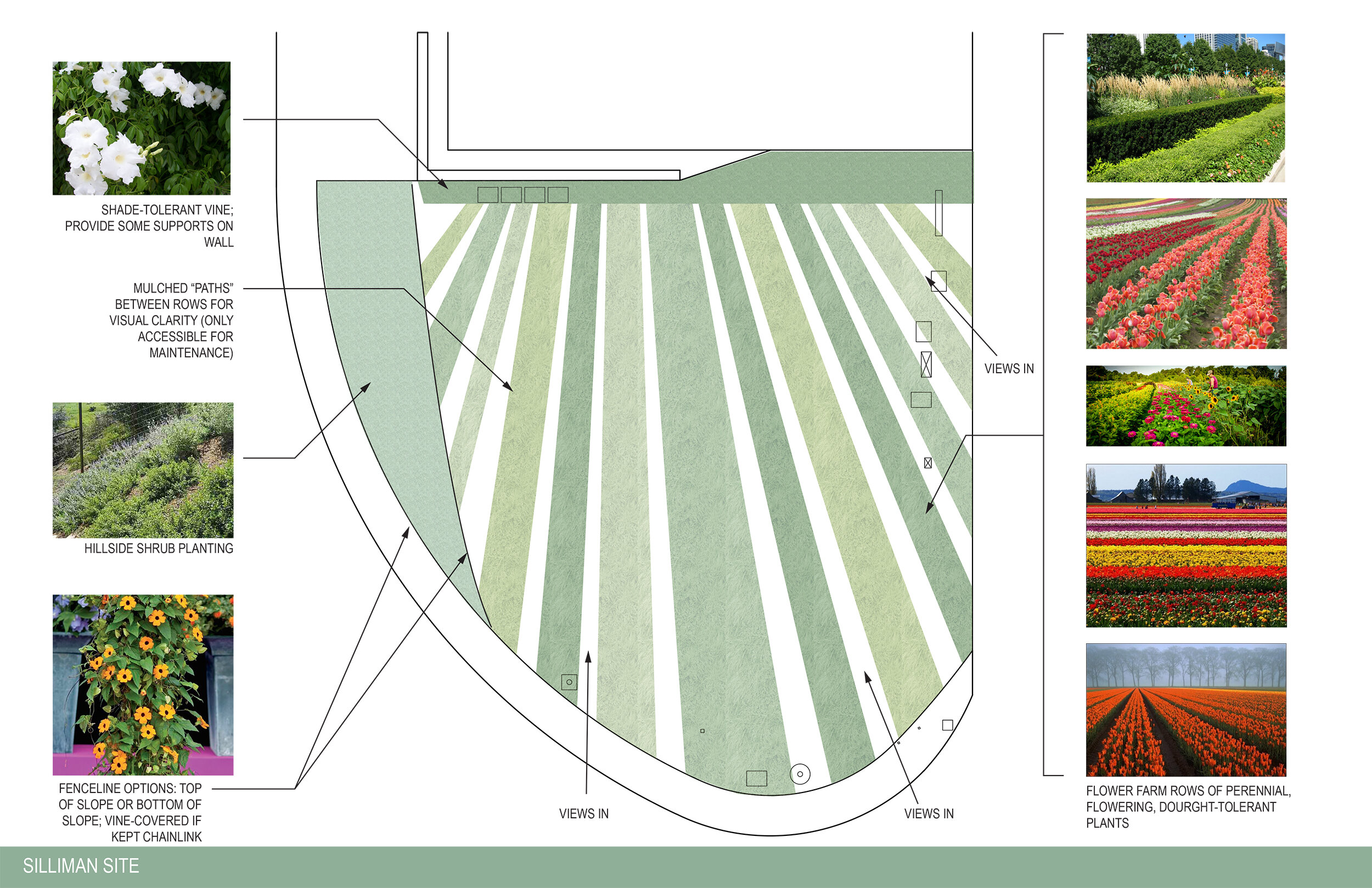 SILLIMAN plan_updated.jpg