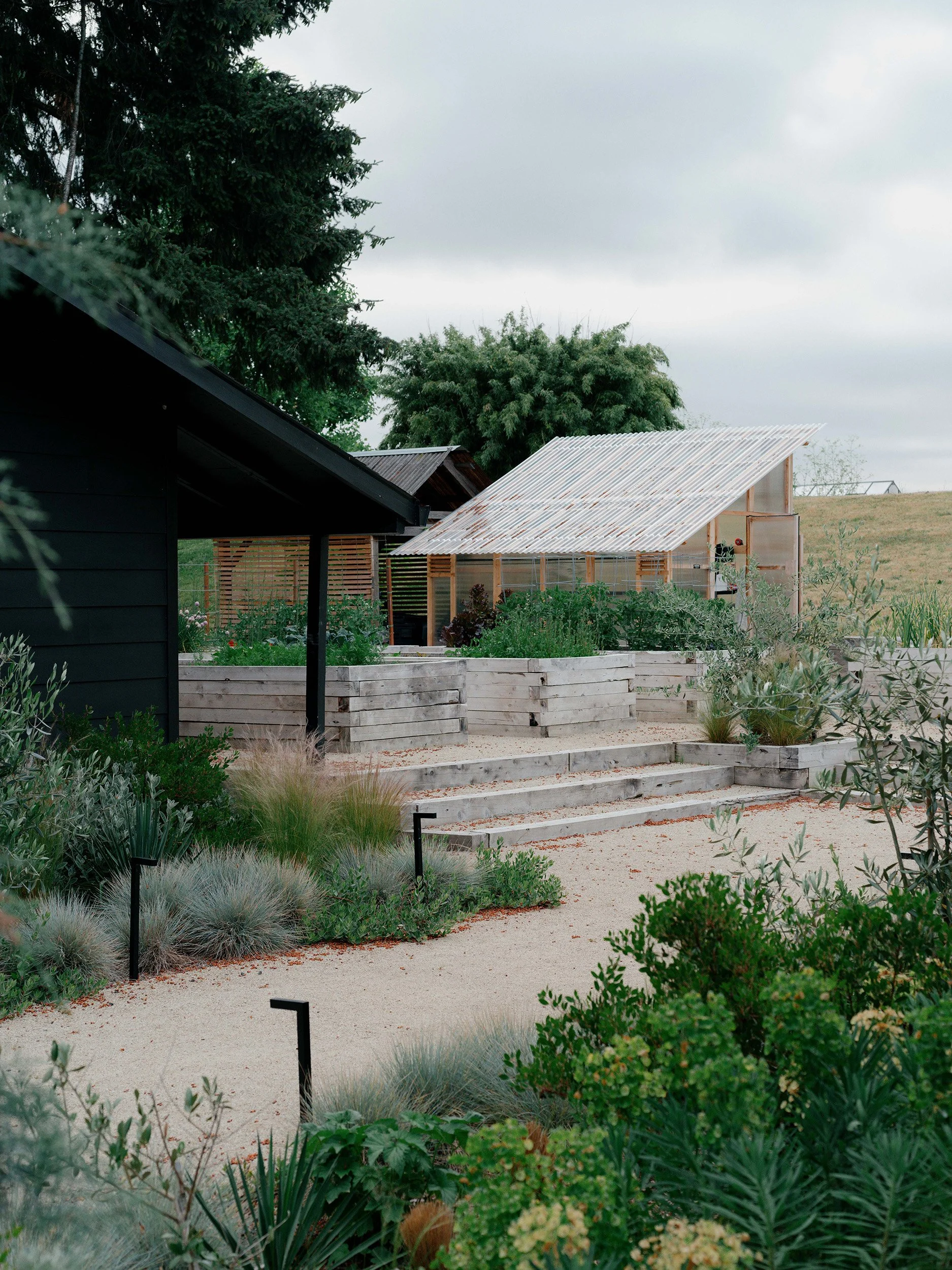 greenhouse, vegetable garden, kitchen garden, raised beds, native plants