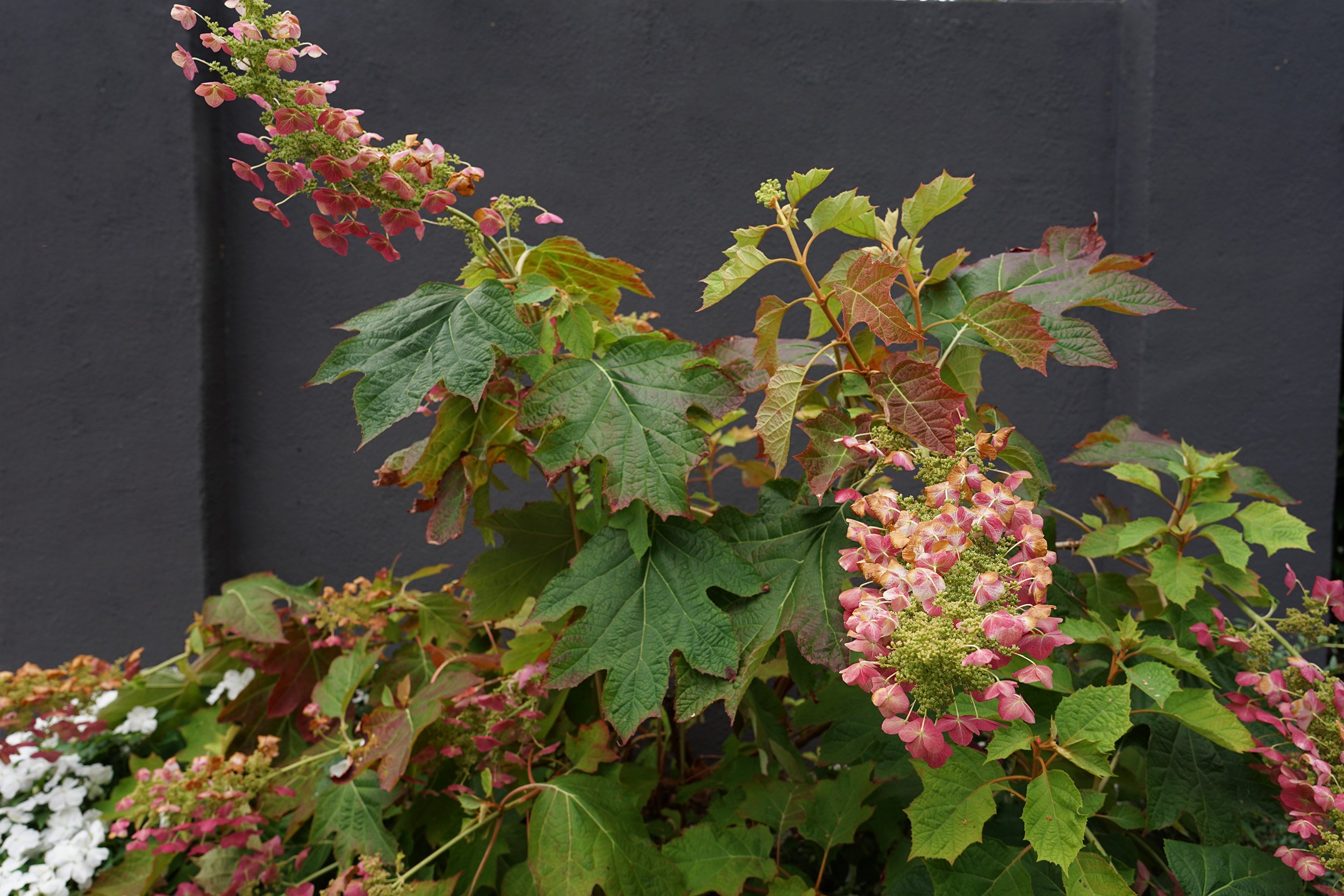 DSC07600_web.jpg